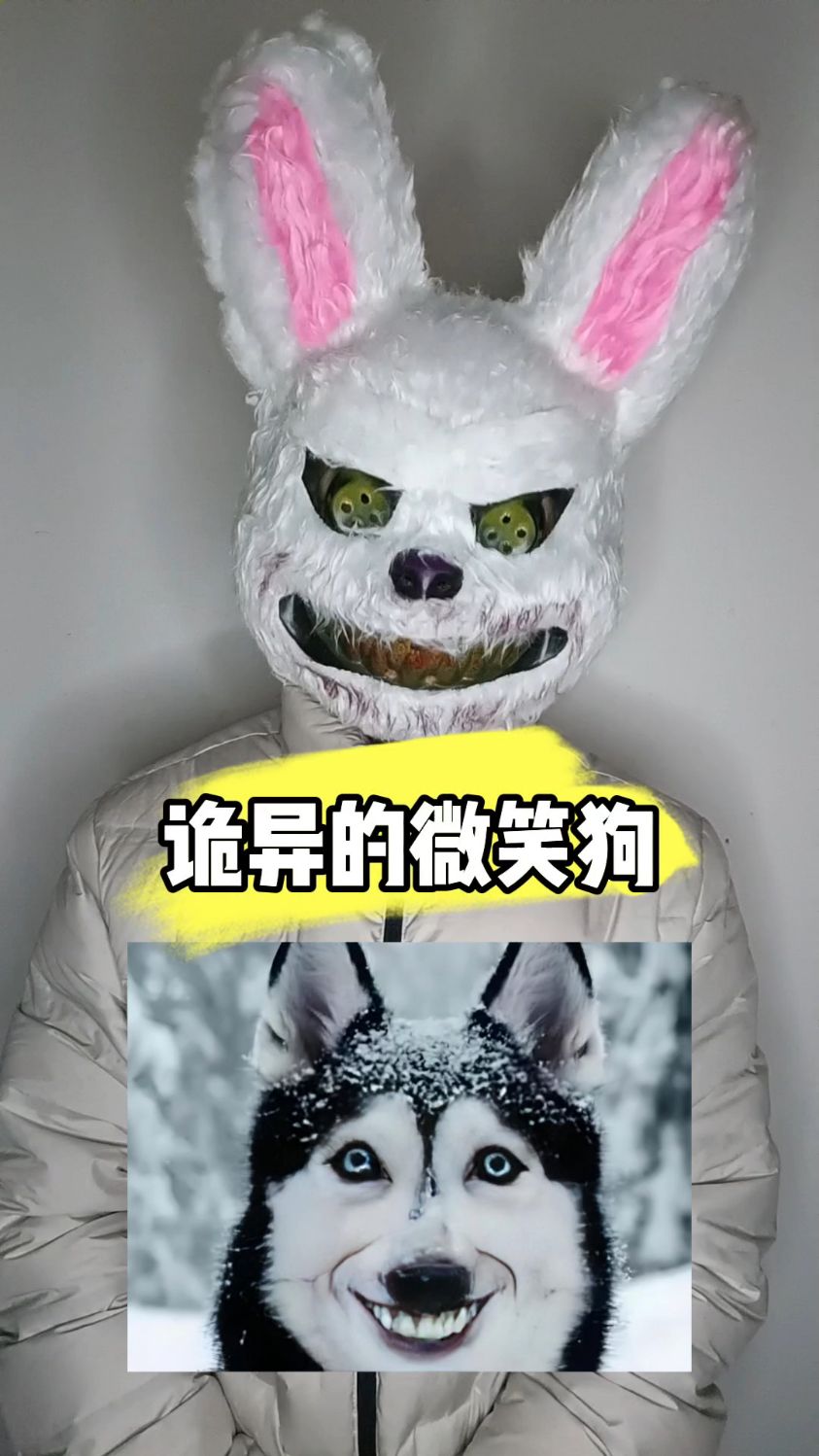 这个微笑狗也太可怕了吧!