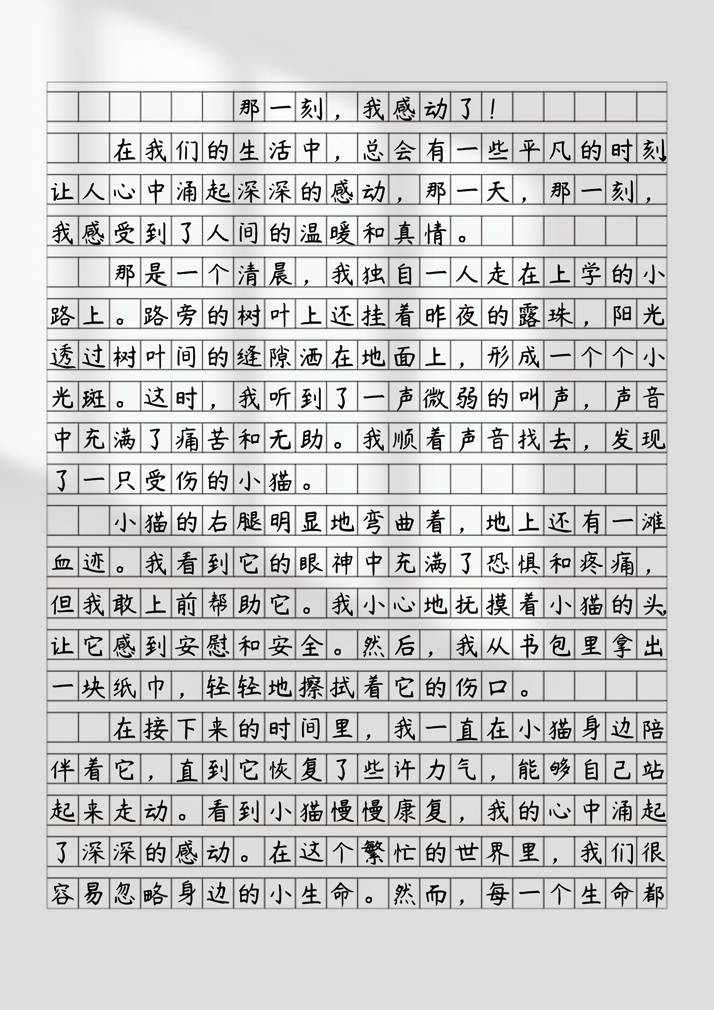 《感动的那一刻》作文
