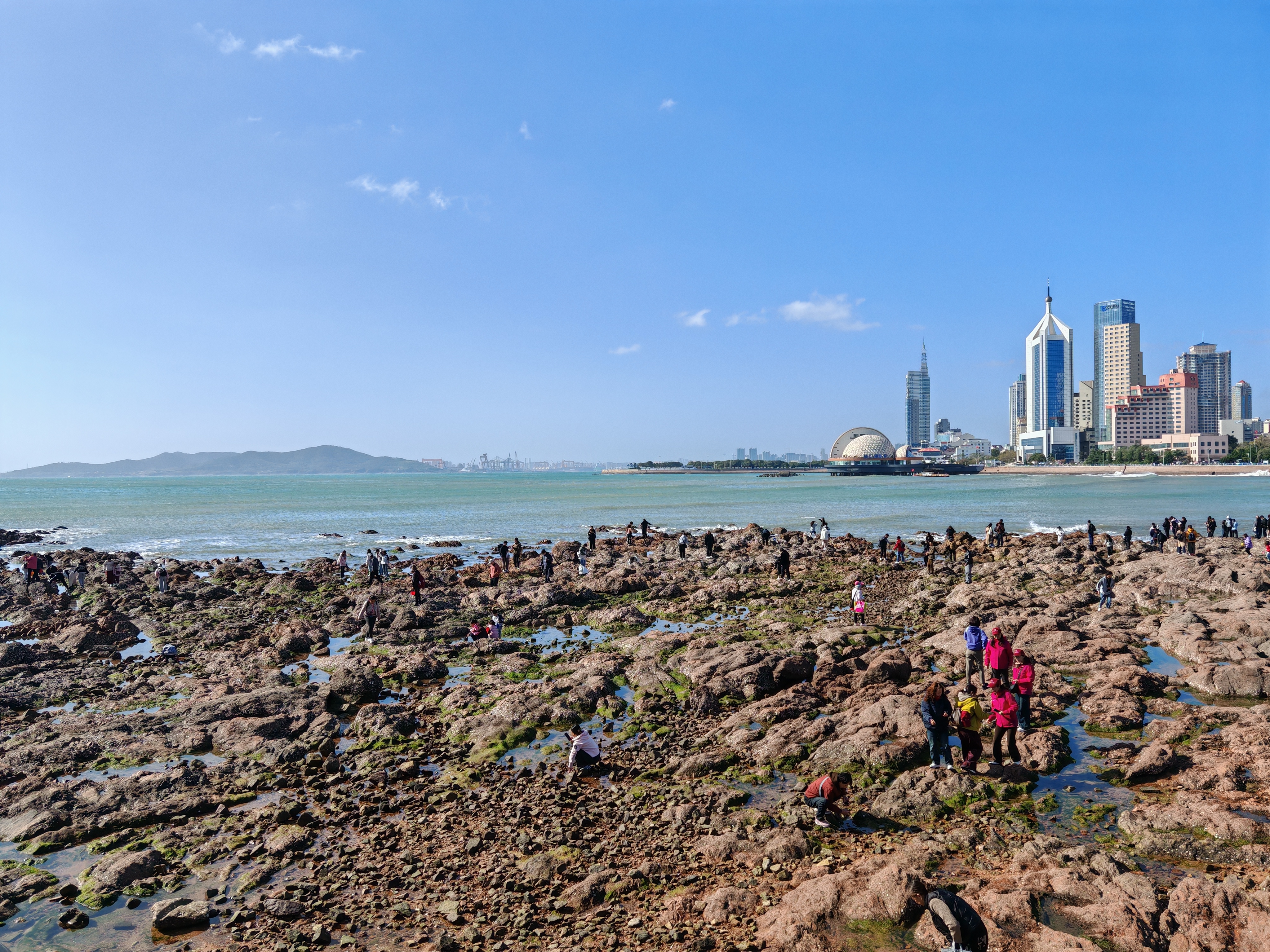 这次自己跑到青岛的海边捉了几只小螃蟹,又在连云港海州湾海边捡到
