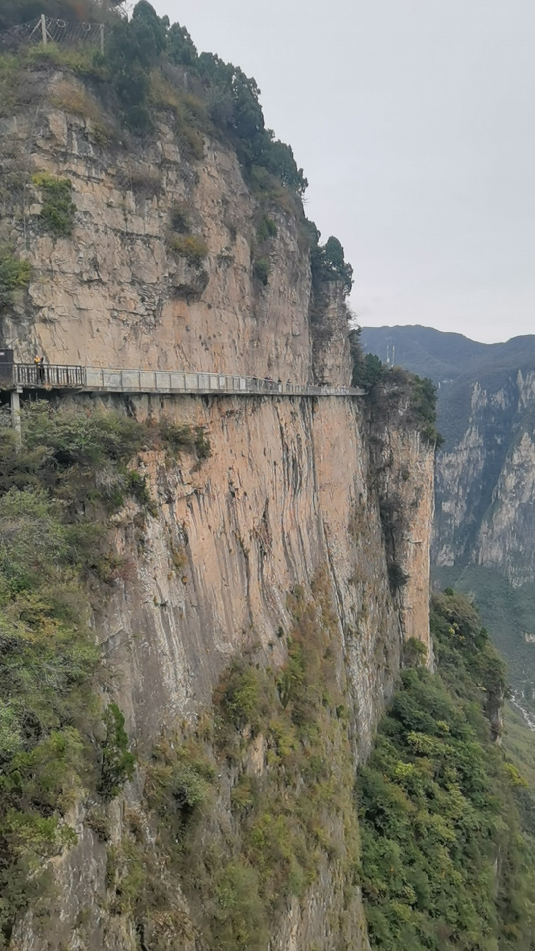 动态连更挑战# 穿越云天,惊险刺激的空中玻璃栈道,焦作云台山凤凰岭