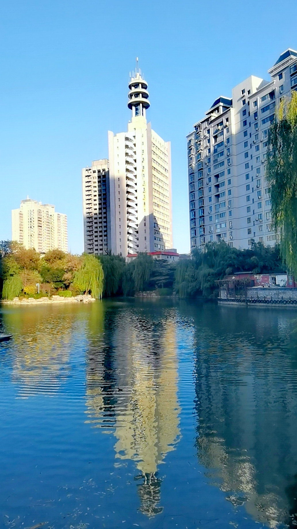 闯入郑州的冬# 河南郑州人民公园的冬韵秋风真美好,金叶在寒风中缮