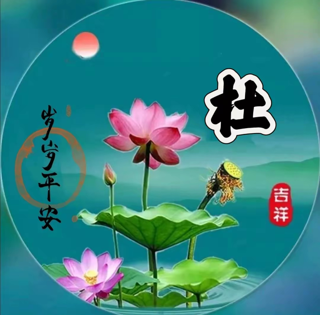 40岁以上的网名昵称,中年人用的微信名字,荷花姓氏头像