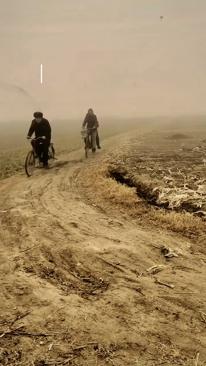 三十年前过年走亲戚的场景