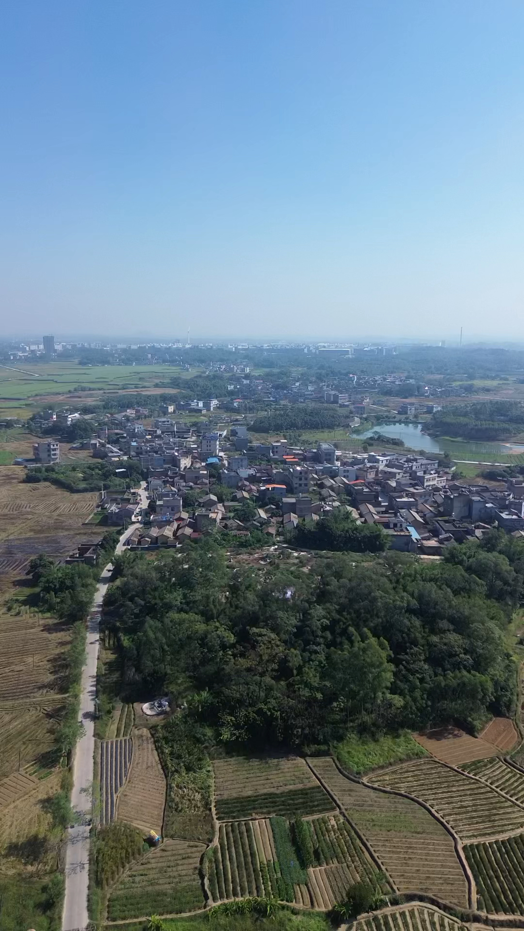 广西玉林樟木镇太平桥村