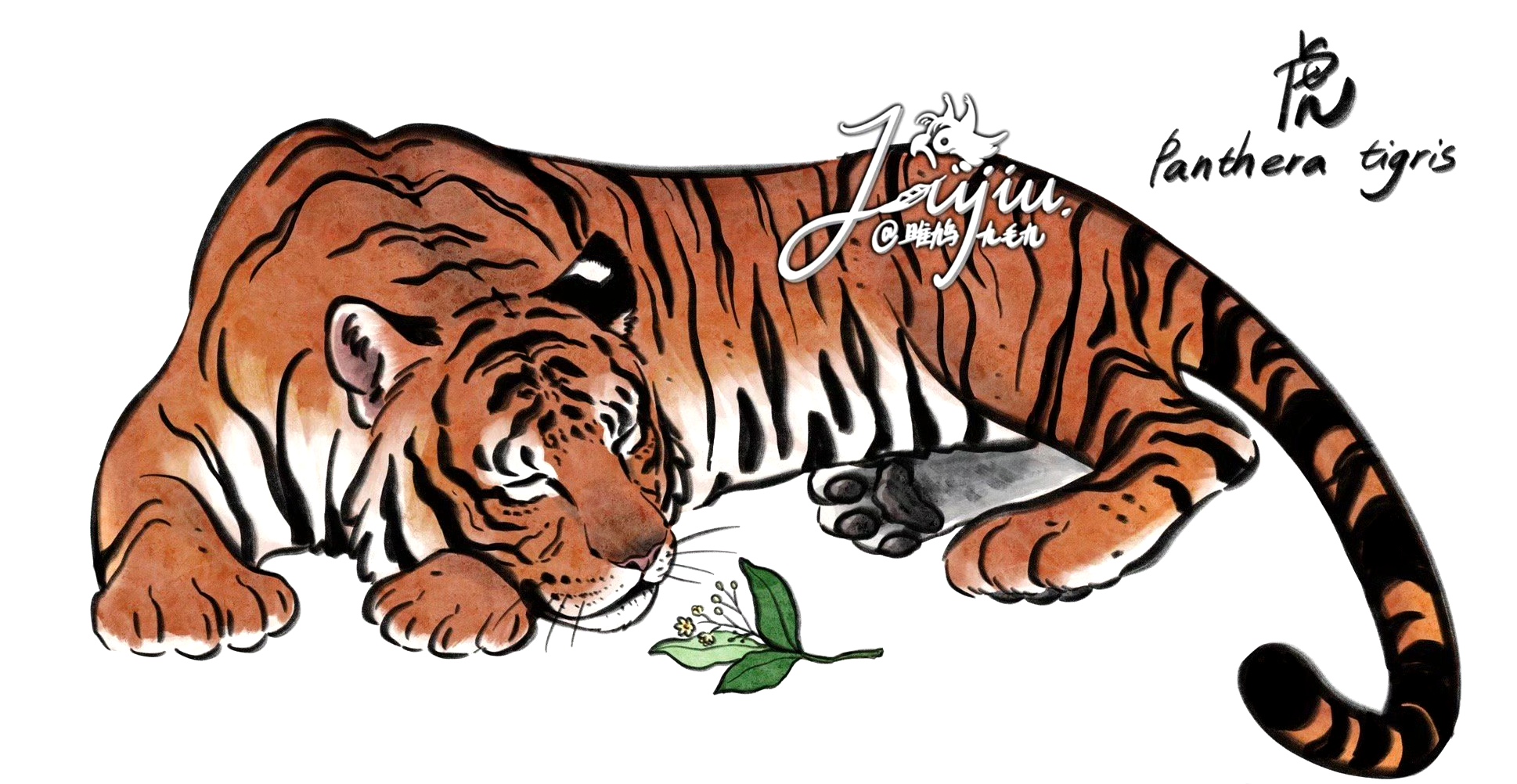 用可爱的形象描绘了我国野生的猫科动物