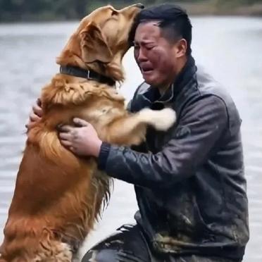 在湖边,有这样一幅令人揪心又感动的画面