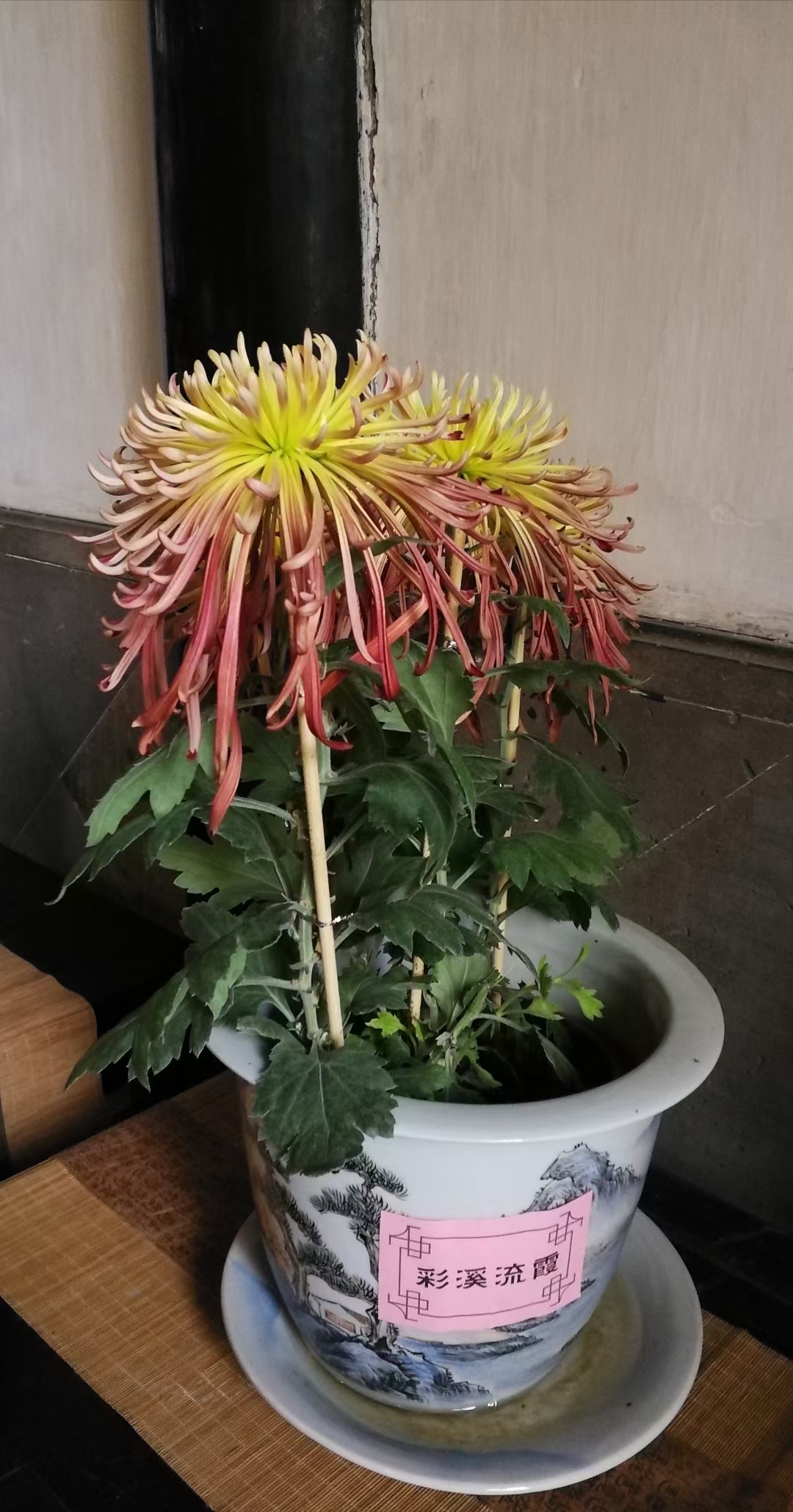 经历了世事无常,人间疾苦,意外灾祸,慢慢的,我在修炼