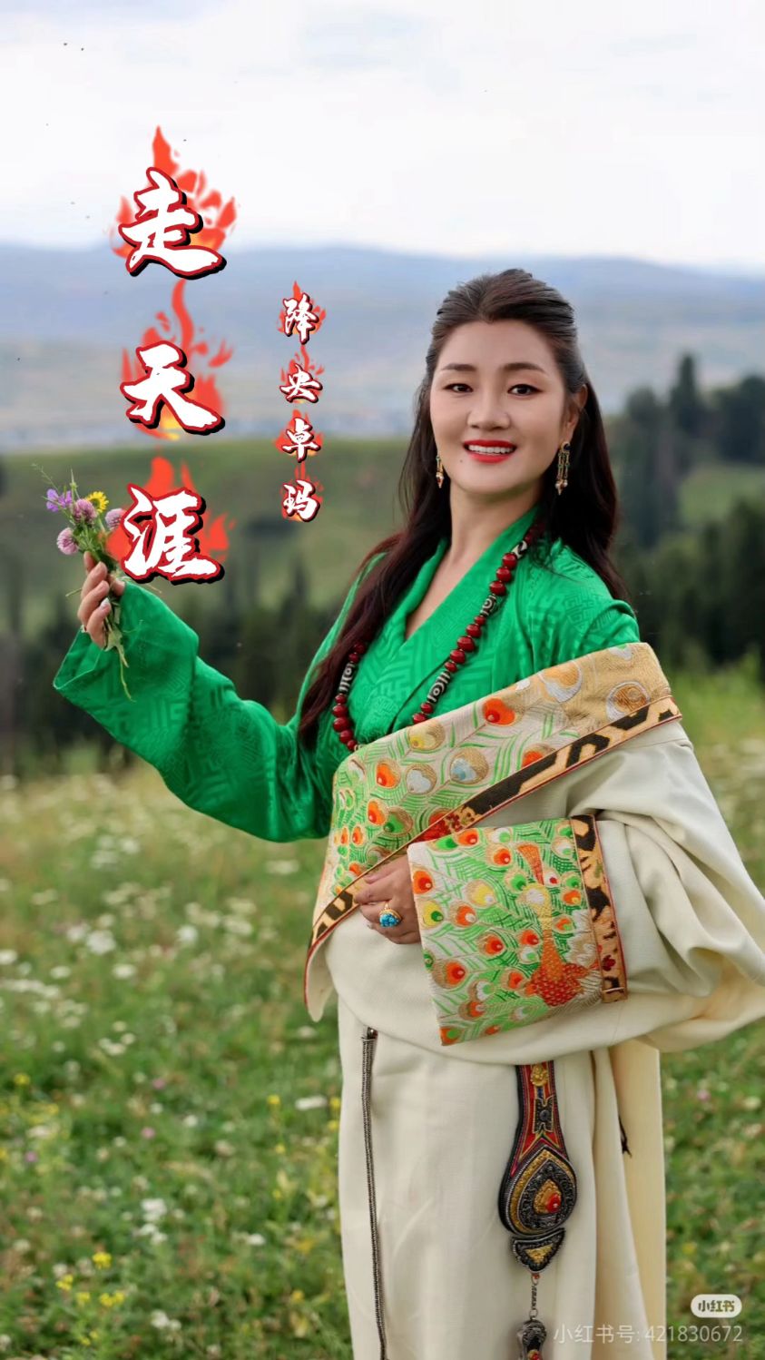 降央卓玛唱的歌曲大全(父亲的草原母亲的河原唱)