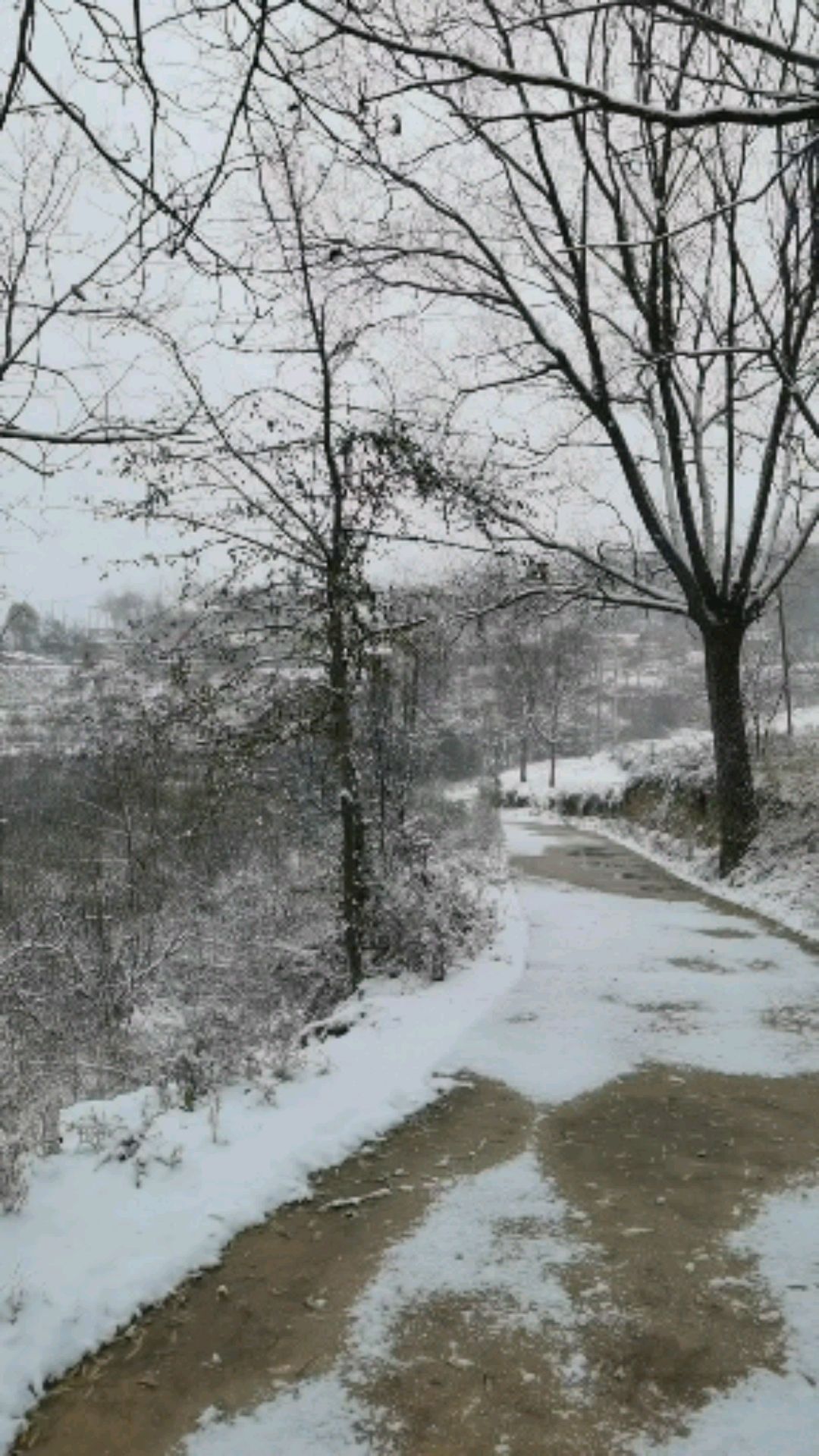 下雪农村山上图片图片