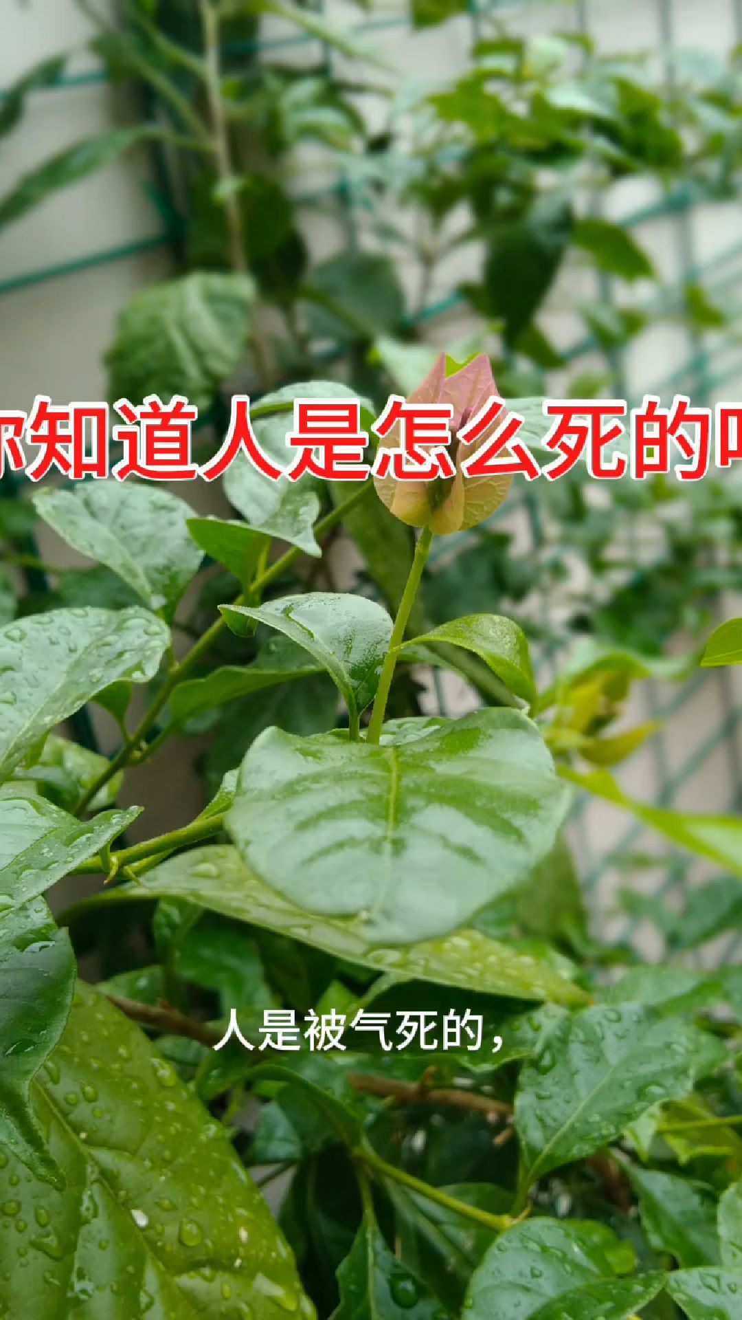 怎么确定人已经死亡