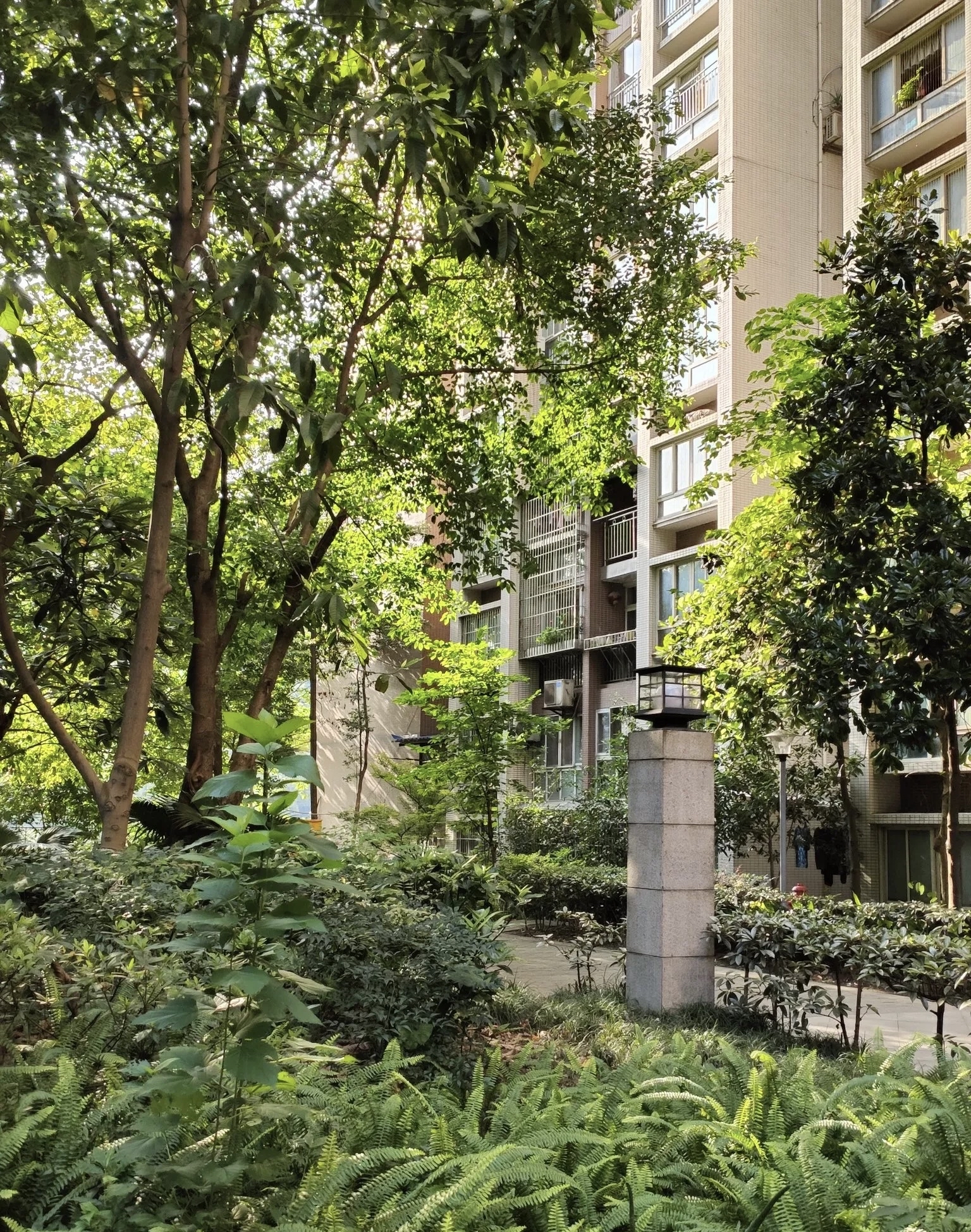 怀孕以来,老公每四天给洗一次头,婆婆前两天过来,今