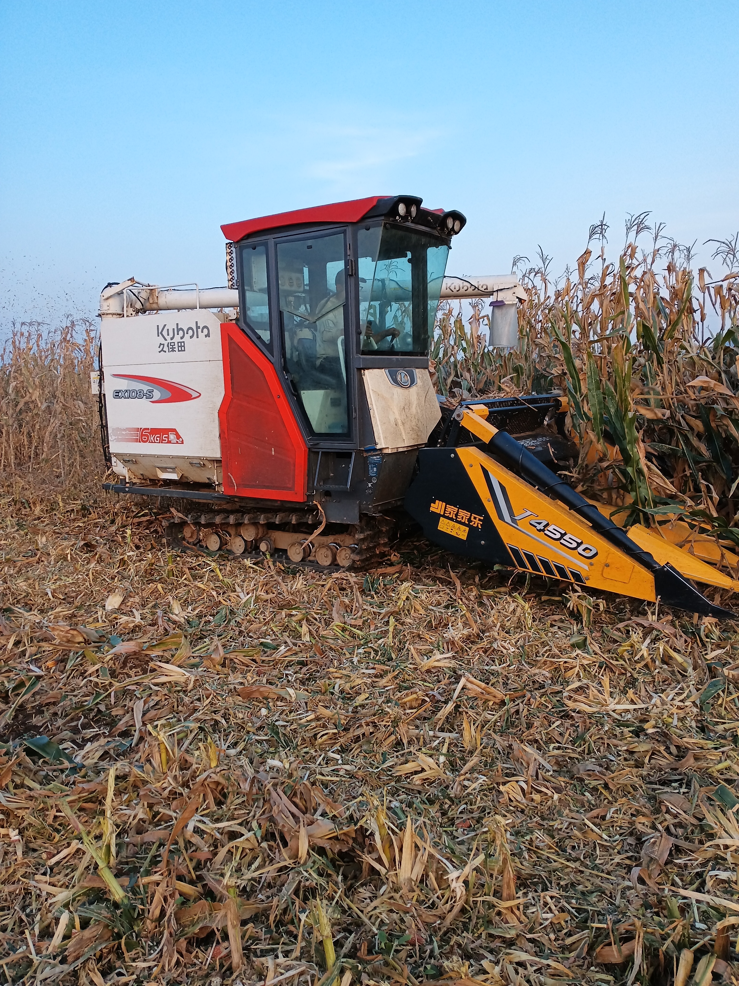 机械收获有两种,一是收玉米穂,另一种是边收割边脱粒