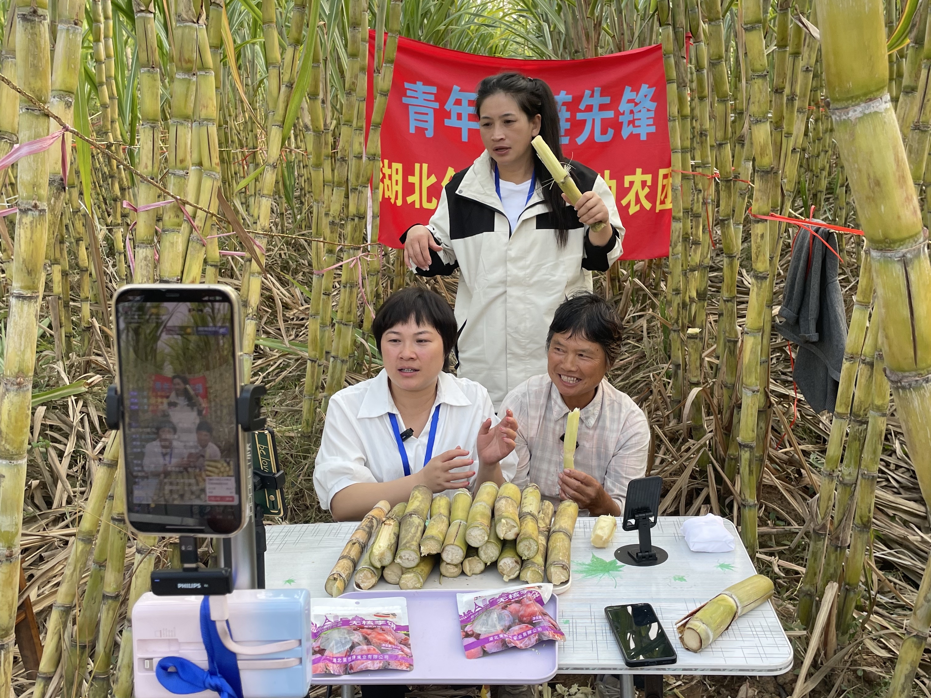 农村创业做什么好(农村创业做什么好种植和养殖哪个赚钱)