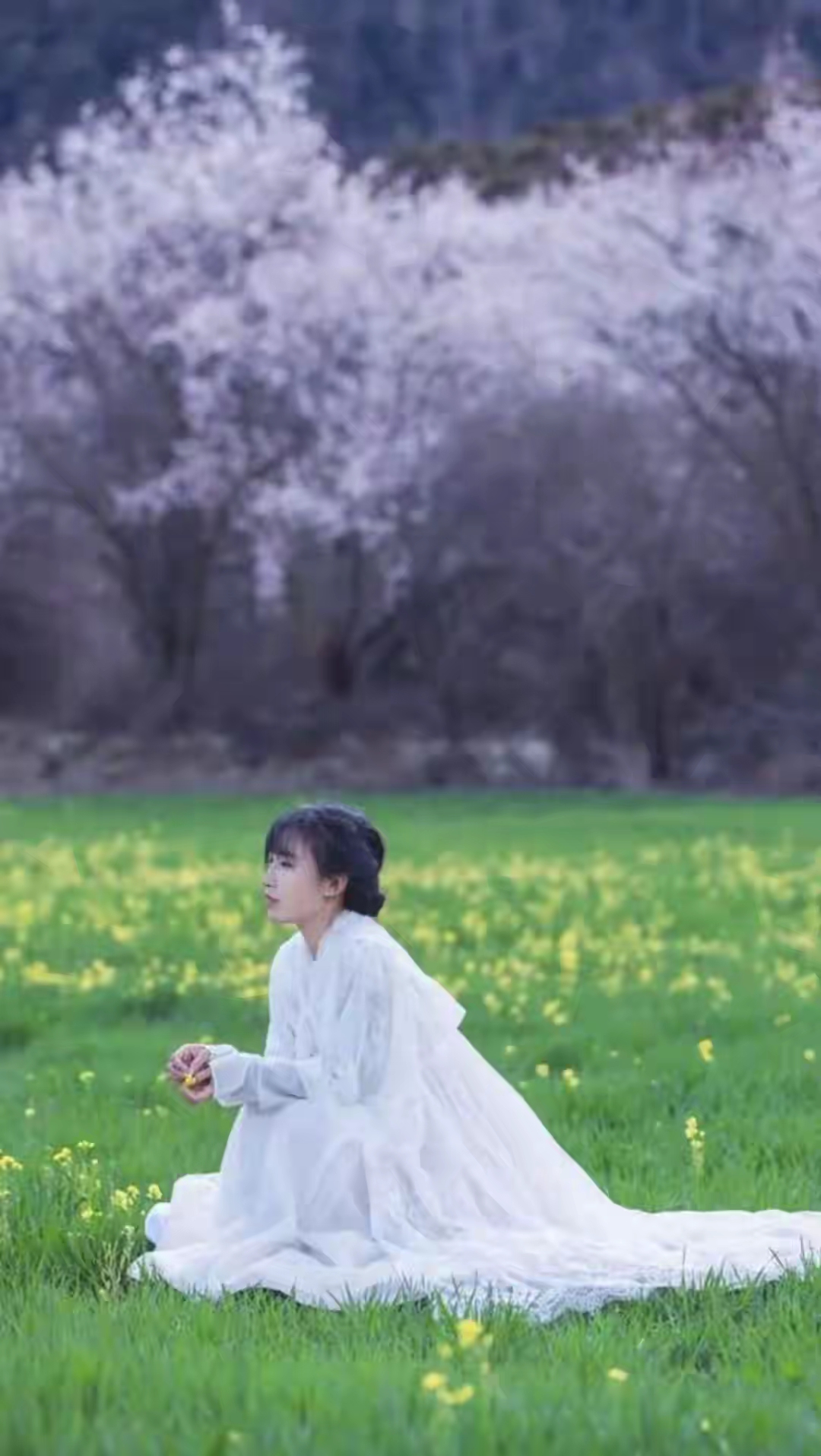 她的抖音粉丝量