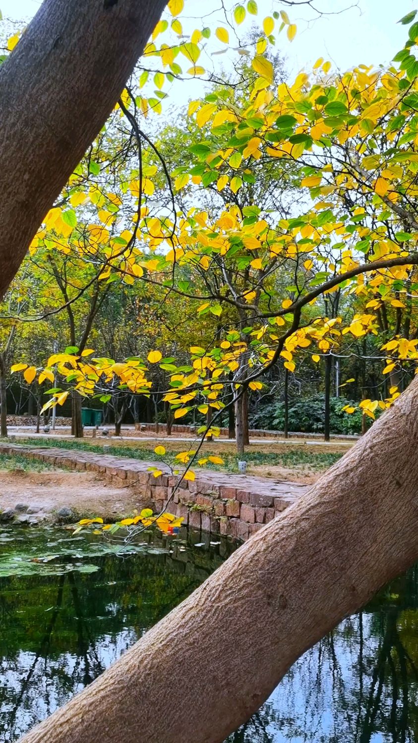 风景无需多美 喜欢就好 卸下烦恼 放空心灵 让平凡的日子充满快乐