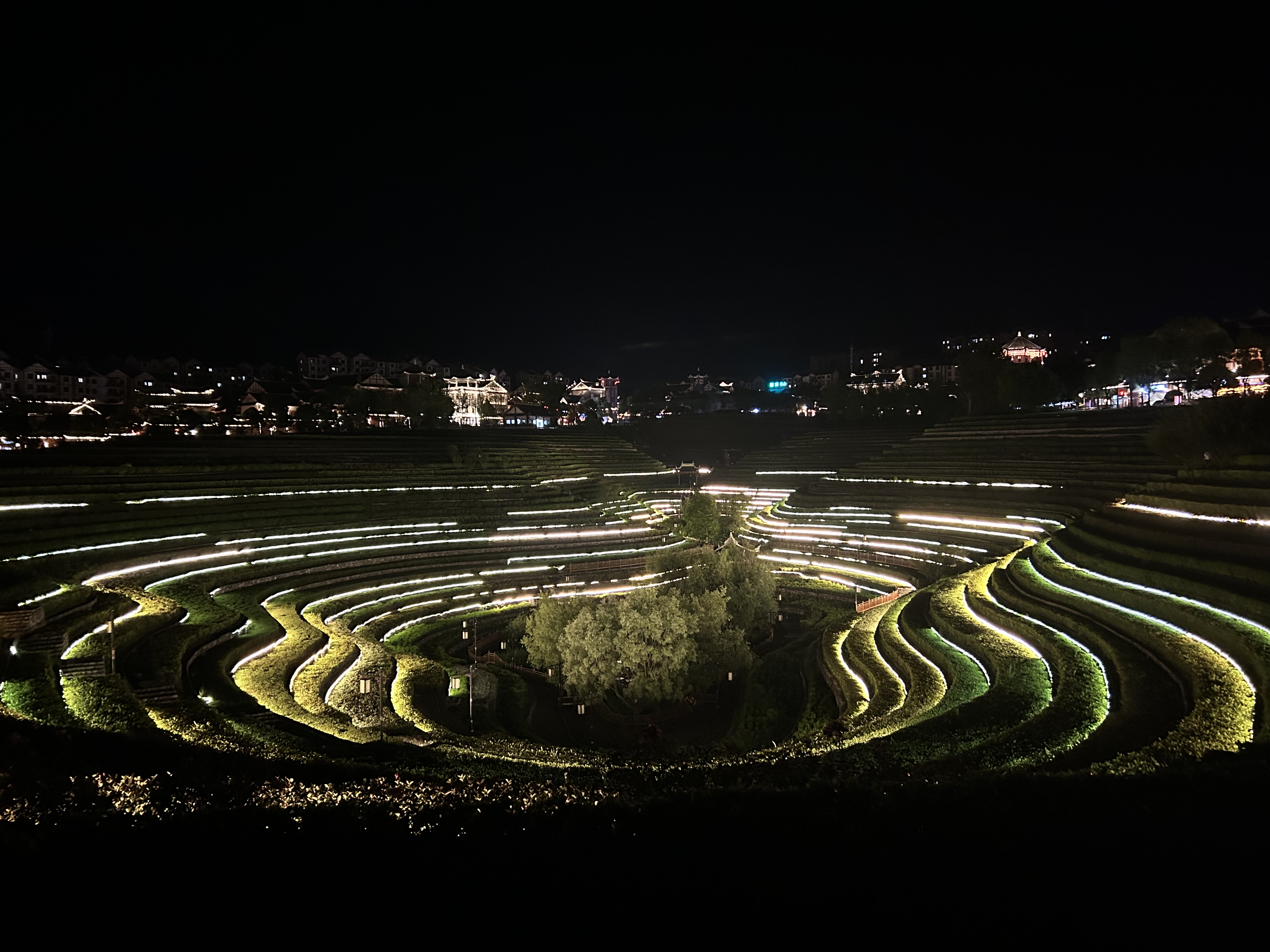 大方梯田花海夜景图片