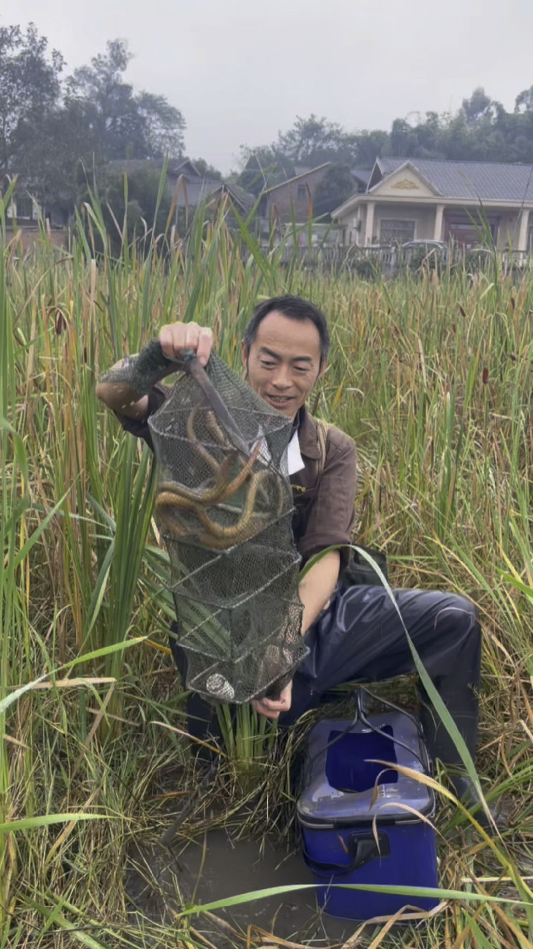 现在下笼子捉鳝鱼还可以,时不时的有惊喜