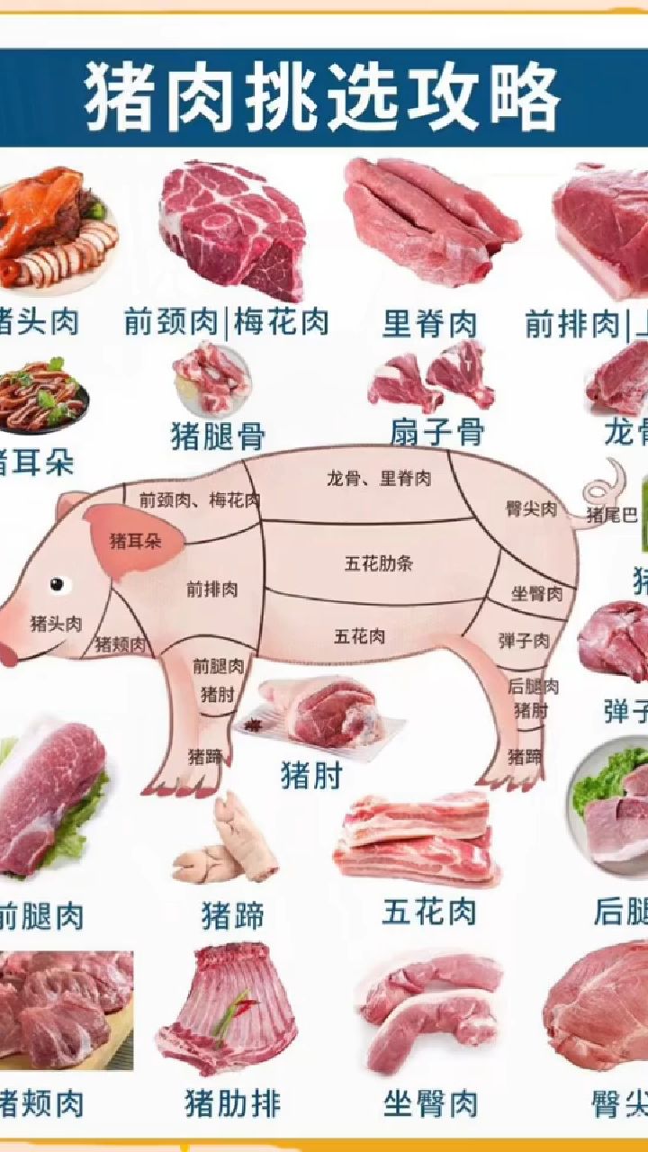 猪里脊肉怎么辨认图片