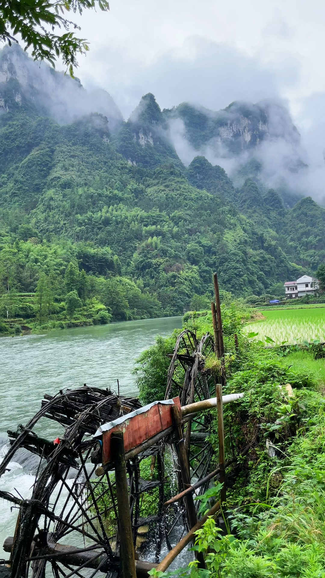 在湖南湘西,随手一拍都是美景,位于吉首市德茹村