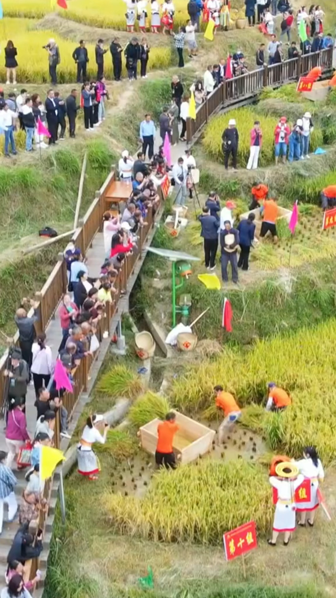 山背花瑶梯田最佳时间图片