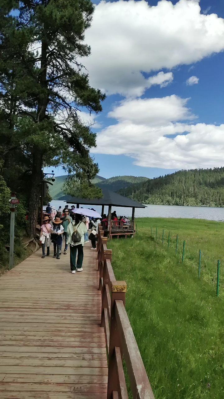 香格里拉普达措：藏在深山的秘密花园