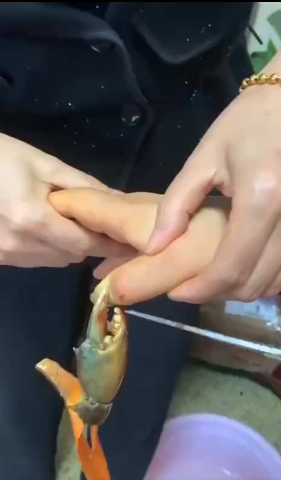 看到图片当中这位美女的手被大闸蟹的钳子给钳住了,我隔着屏幕都为他