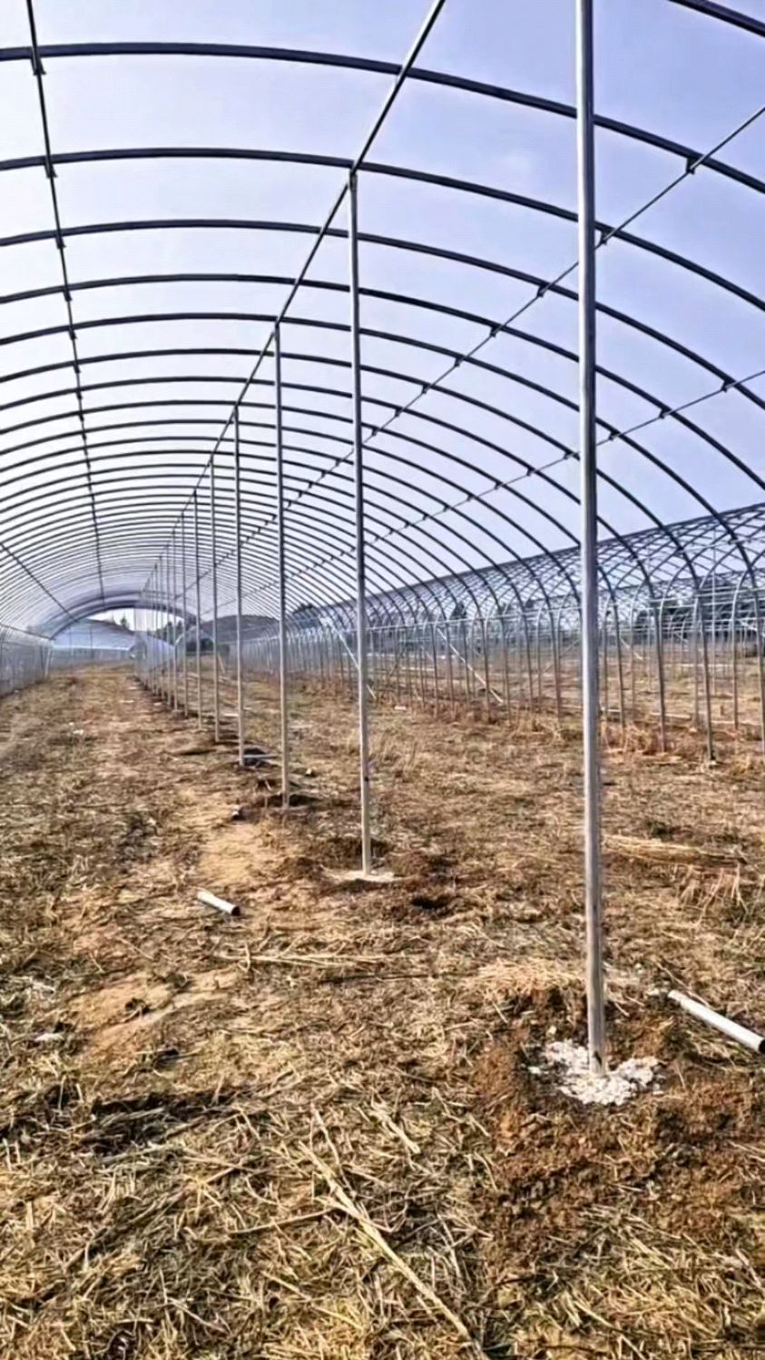 这种12米宽,中间带立柱的大棚,冬天下雪能压塌吗?#椭圆管大棚厂