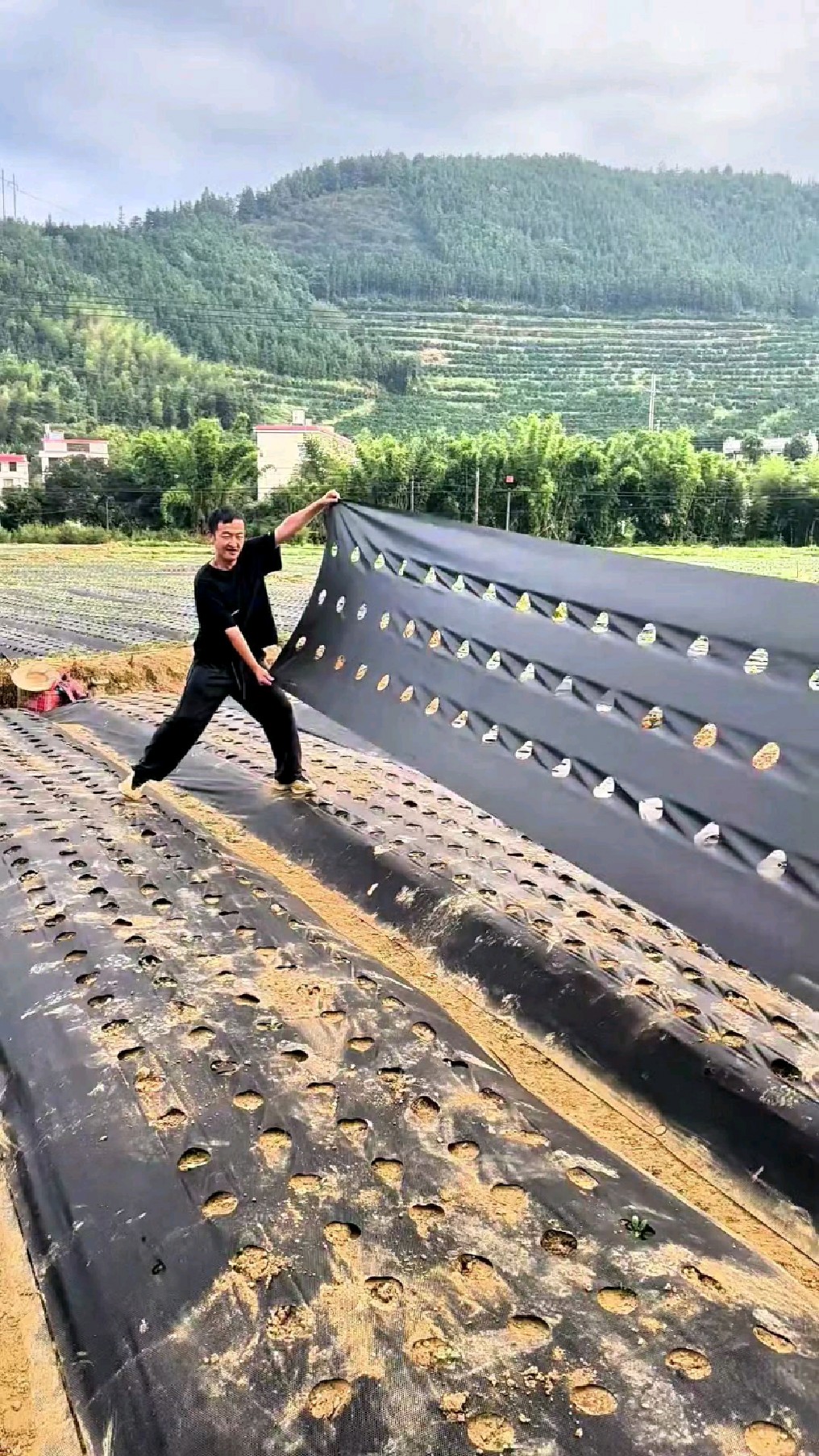 防草布除草布:抑制杂草,保护土壤,环保园艺好帮手.