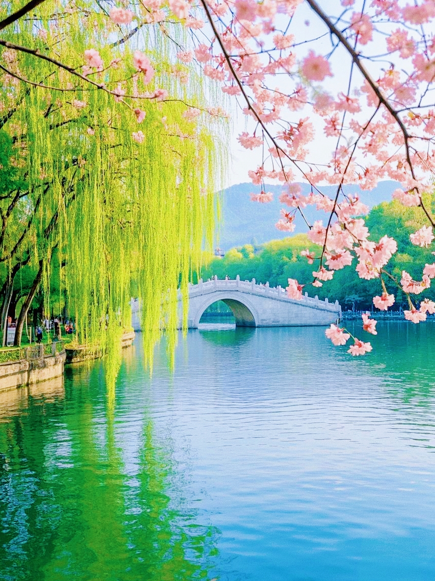 大自然人间风景头像