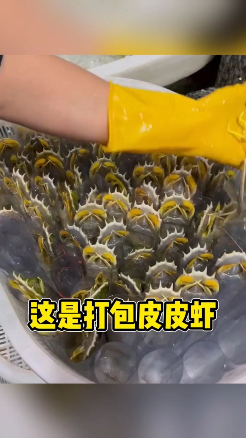 这是打包皮皮虾呢