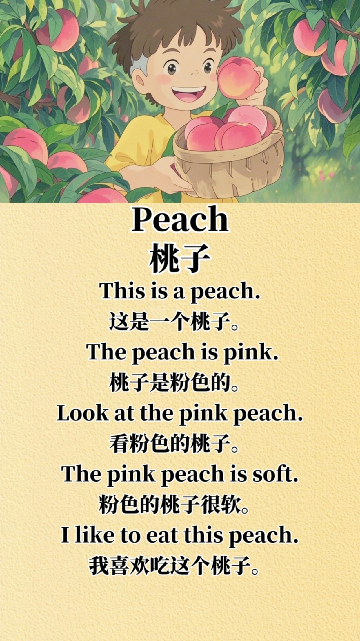 0到6岁英语启蒙:peach 桃子