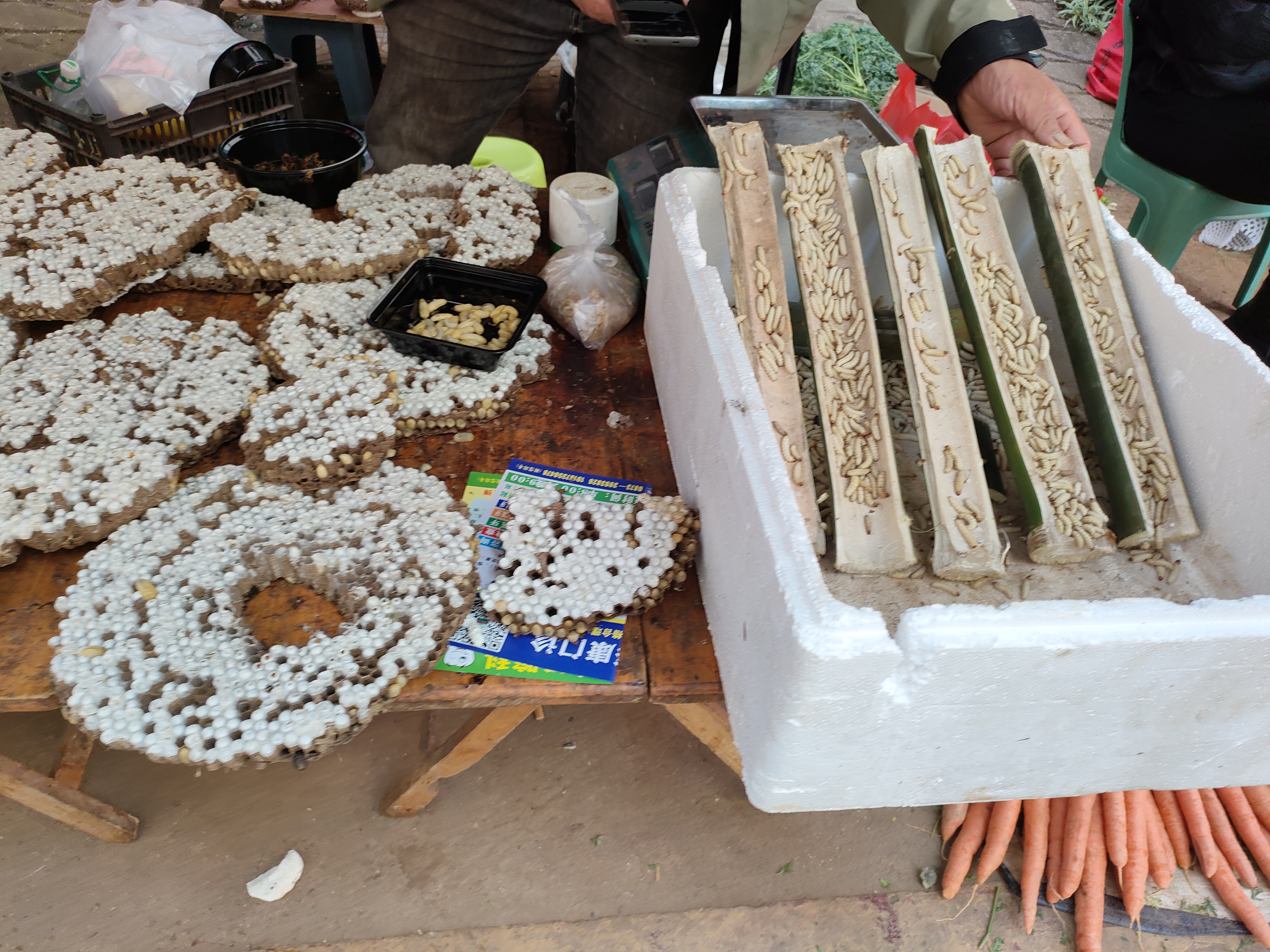 一一竹虫又叫竹蛆,广东人称之为"笋蛆",云南人嫌"蛆"字难以接受,一般