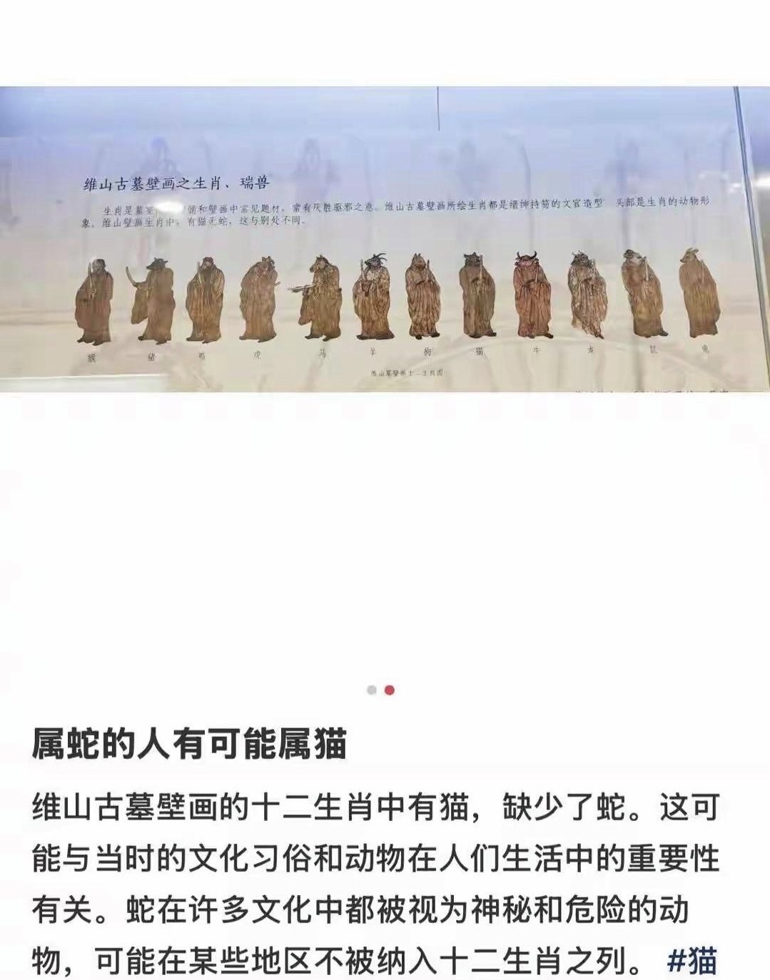 十二生肖里为什么没有猫