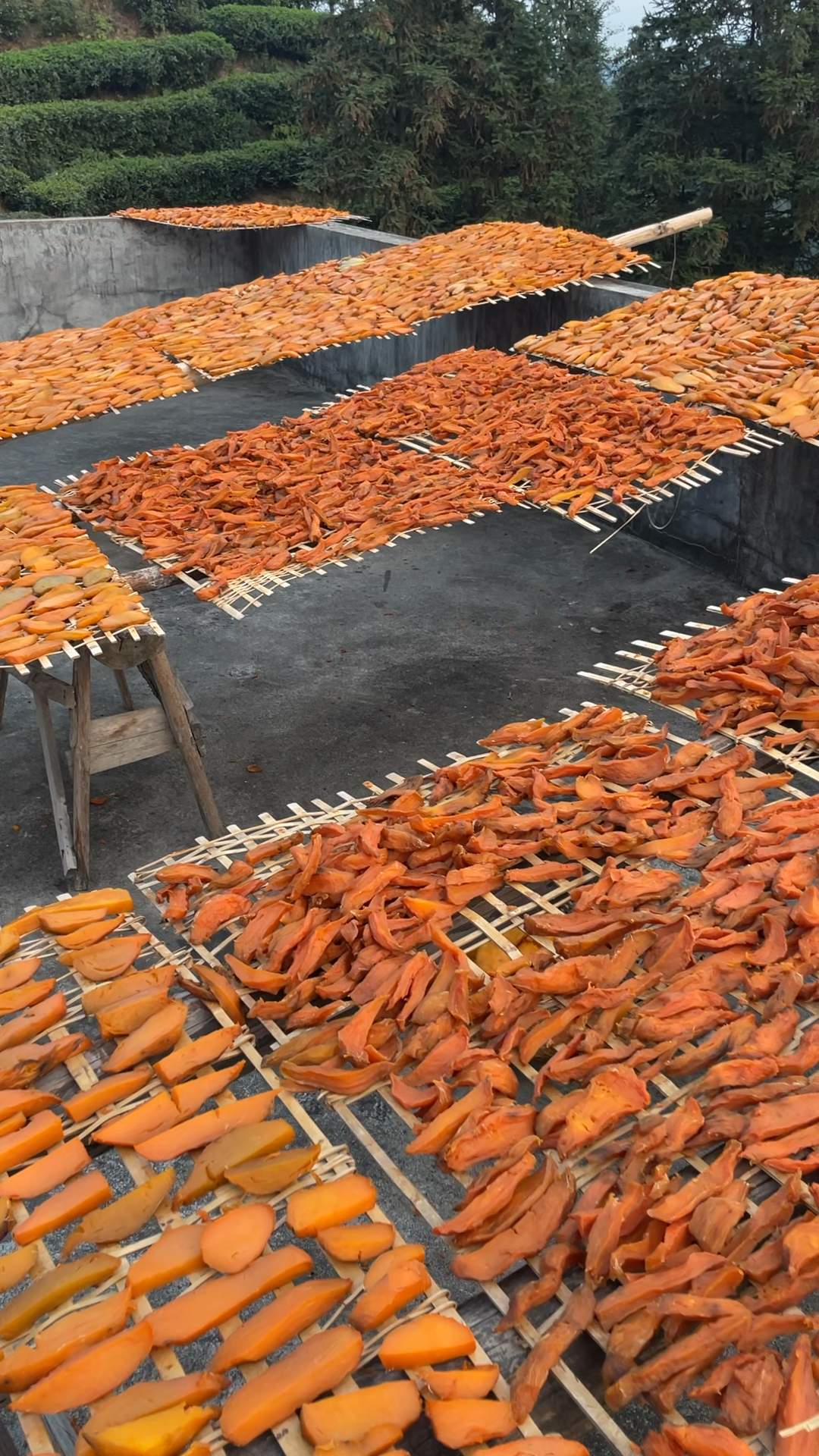 用太阳晒的红薯干,不添加任何东西,满满的儿时记忆,欢迎下单