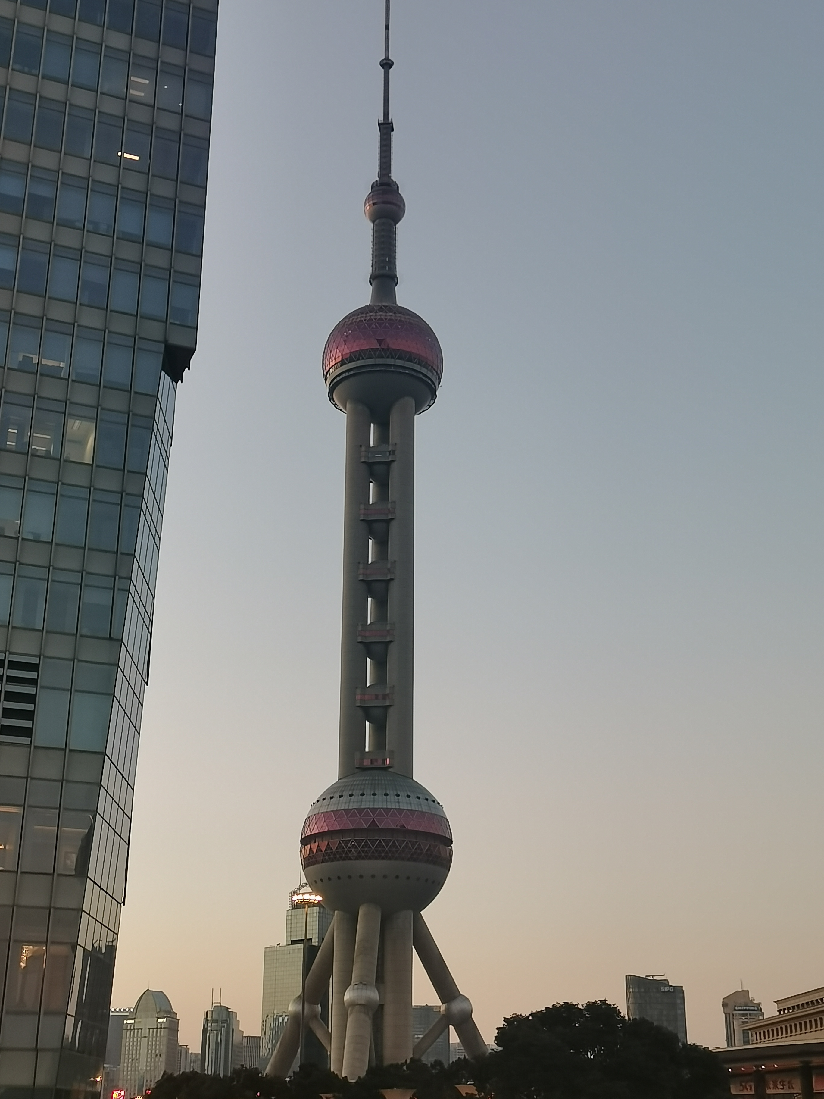 一家三口被冻成了狗,据说这两天是上海最冷的时期