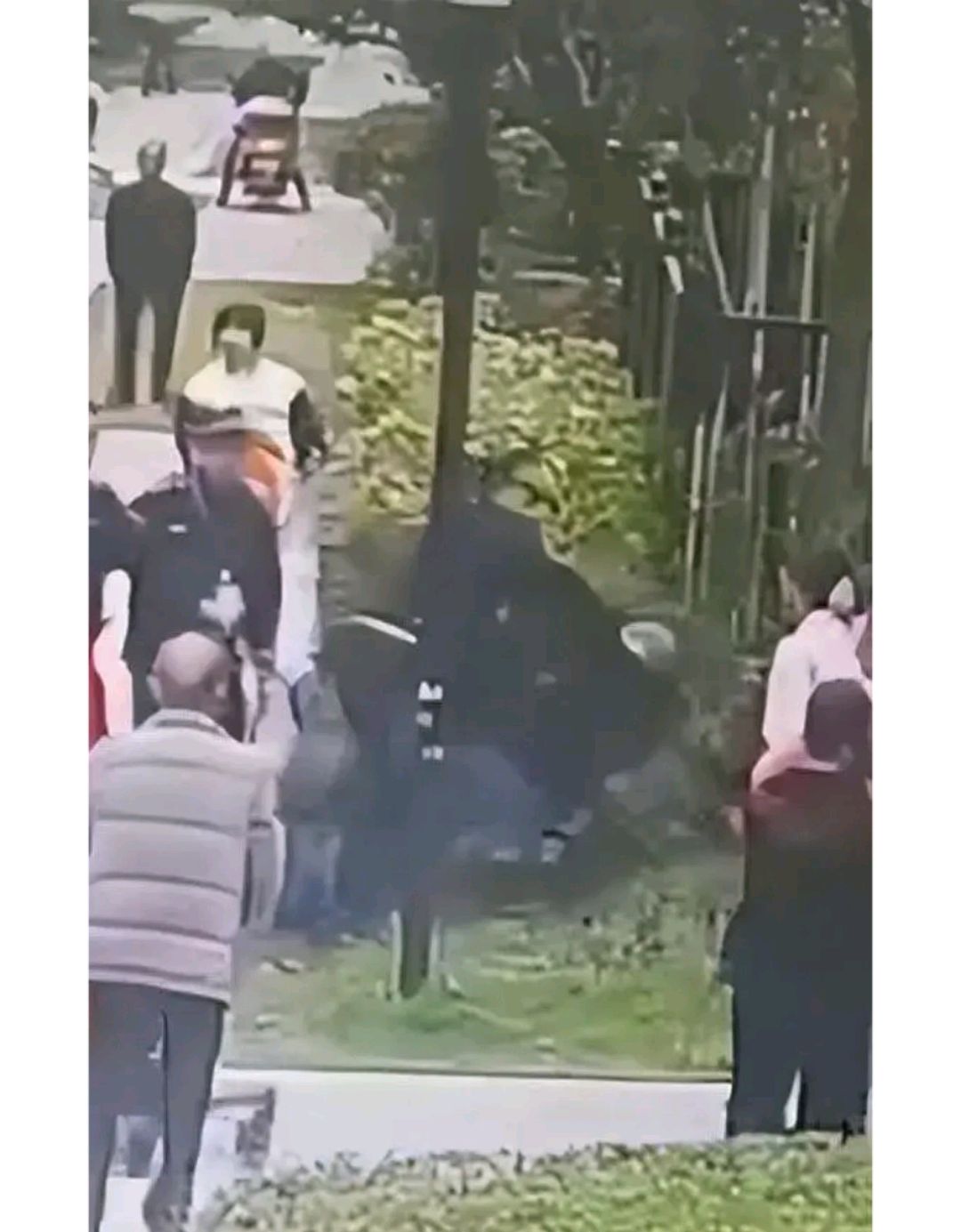 1080_1385竖版 竖屏gif 动态图 动图