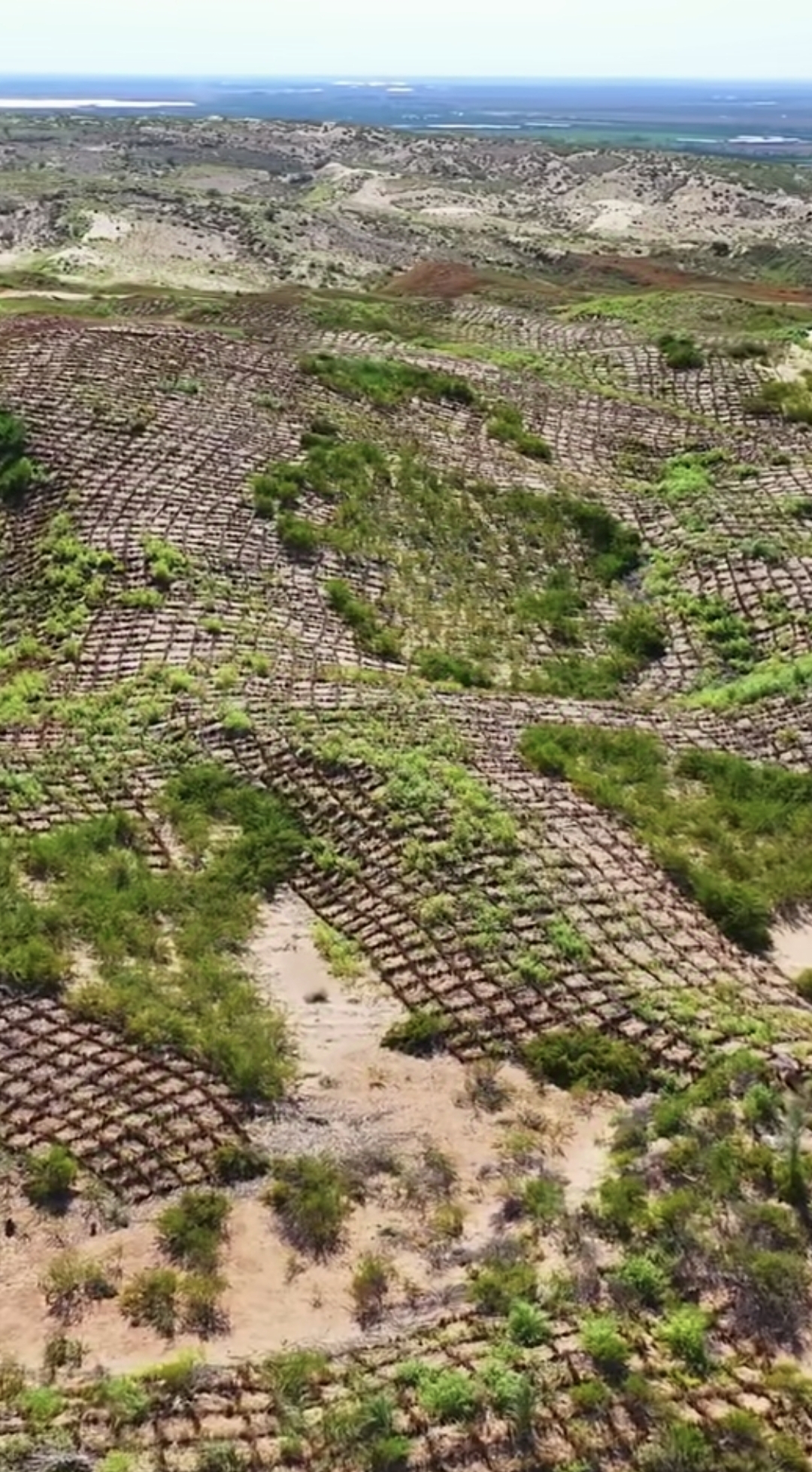 麦草方格治沙是宁夏中卫市修包兰铁路时工作人员发明的,获得国家科技
