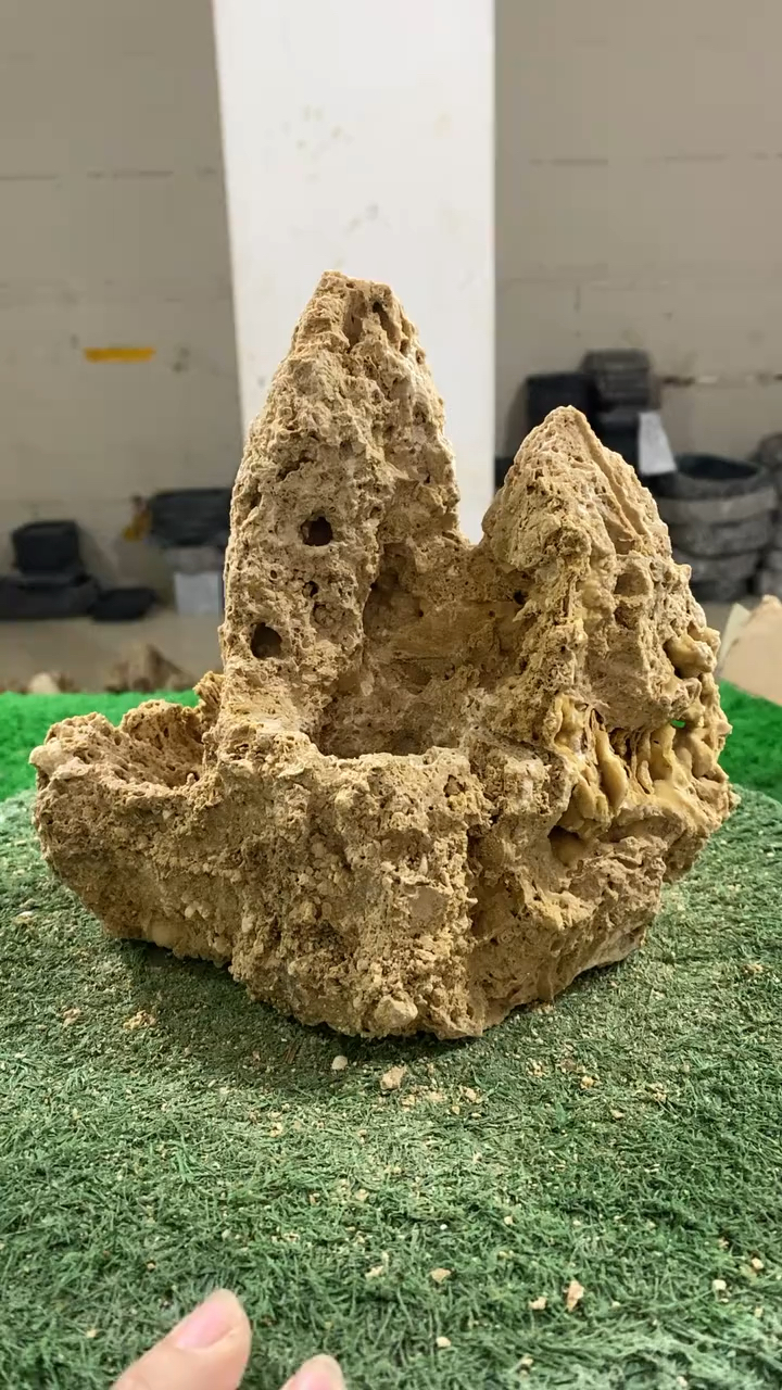 很好种录值的吸水石