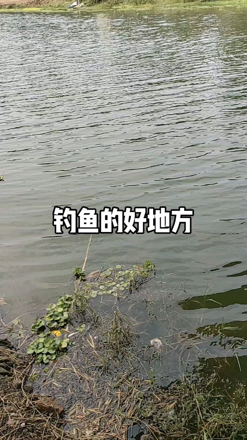 为什么喜欢钓鱼