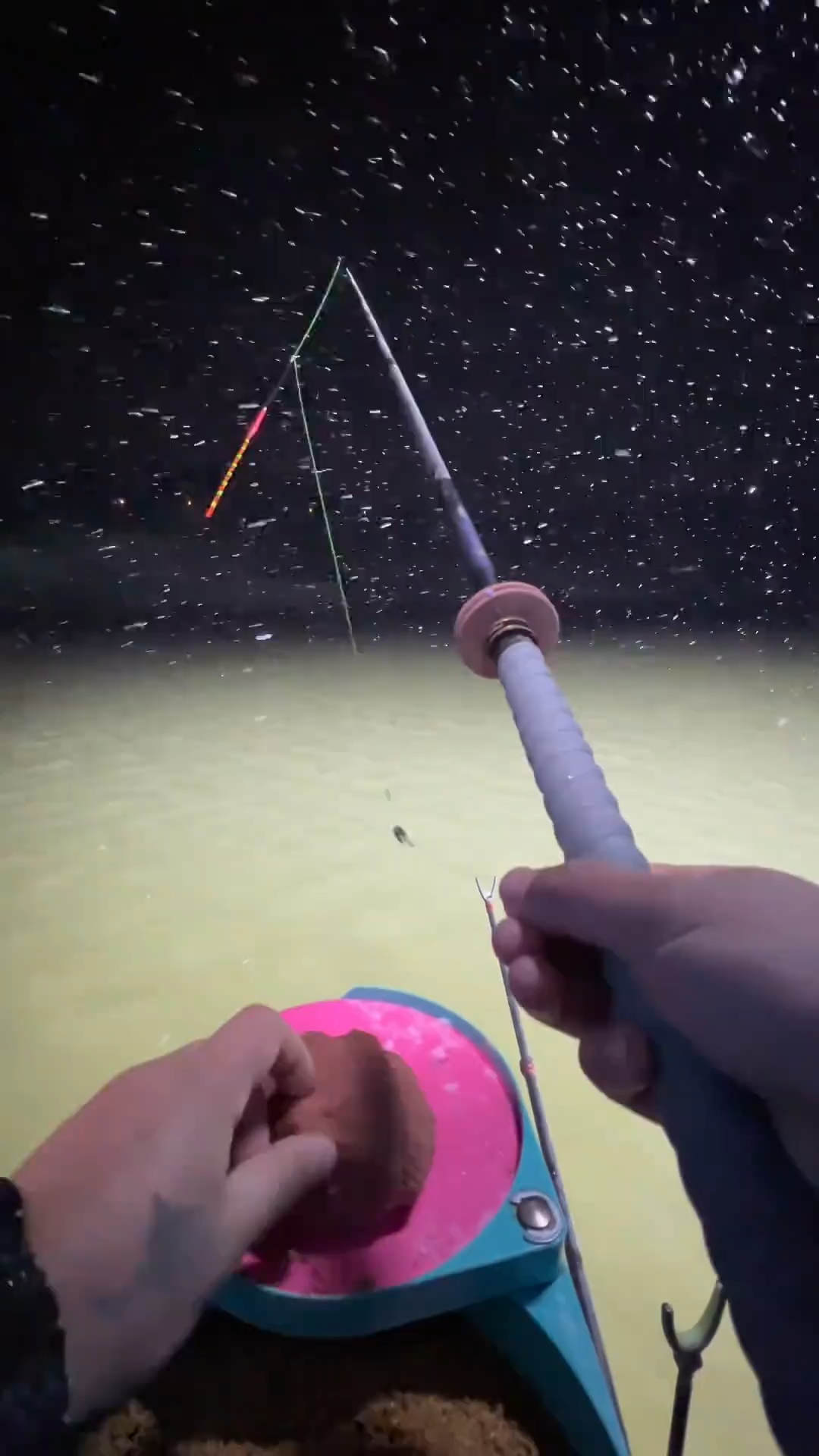 鱼:我冻的都不想开口了,你还搁那调五钓三呢.