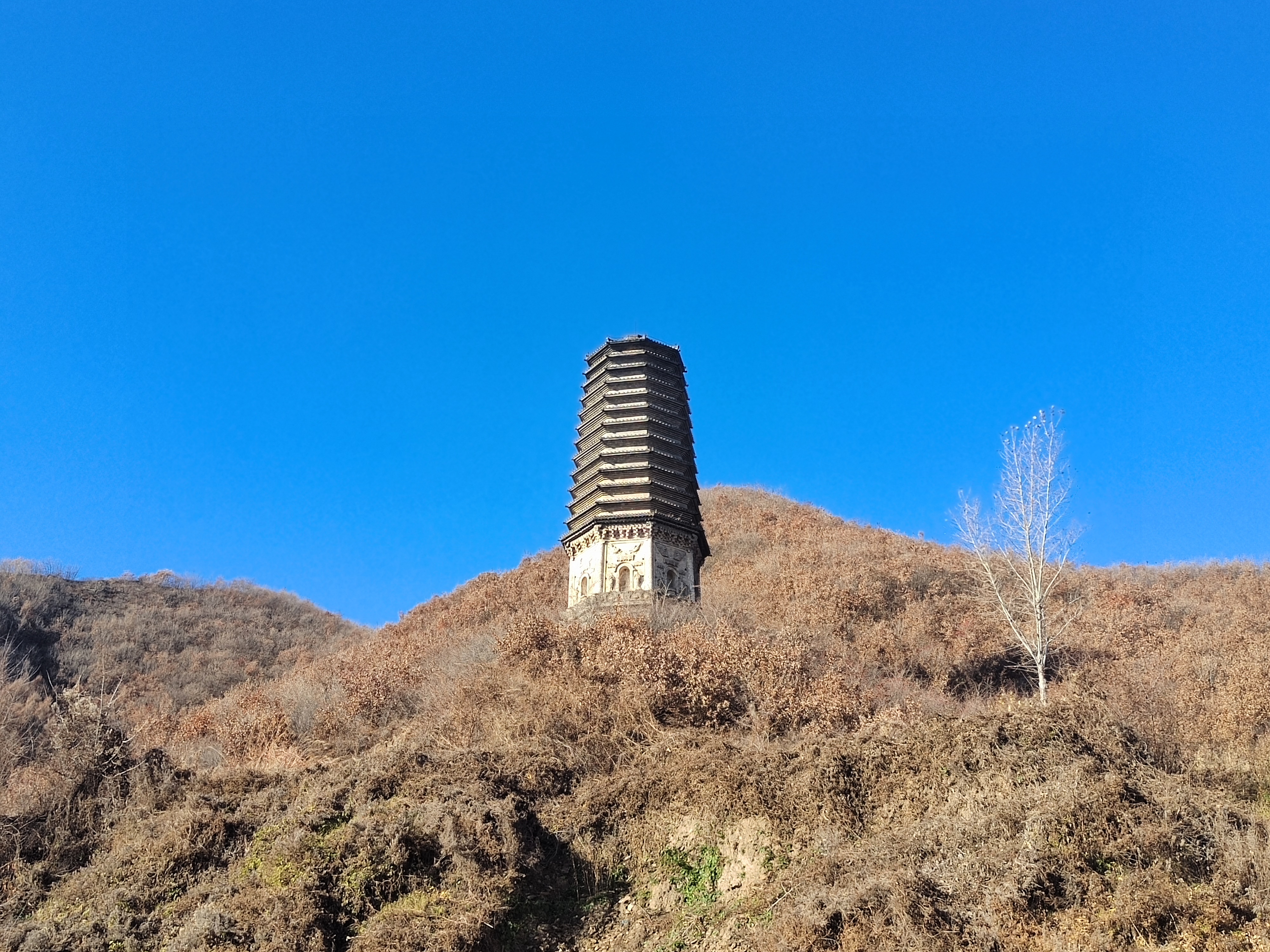 析木金塔寺照片图片