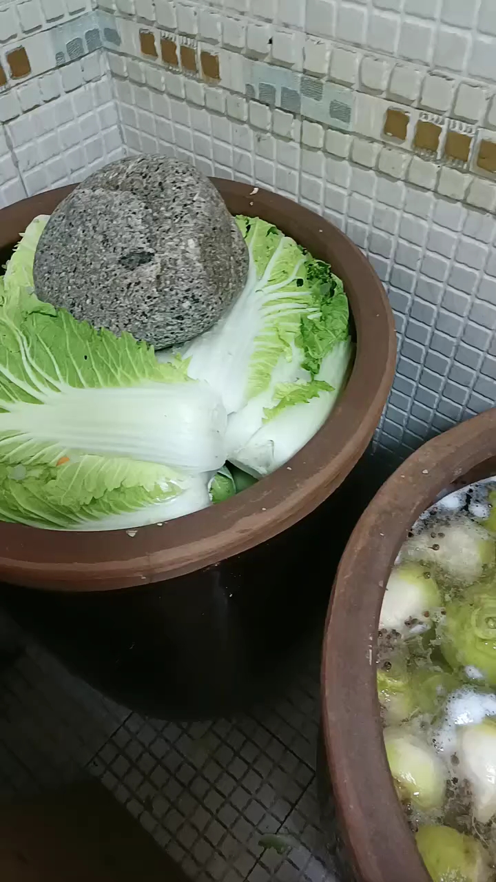 北方人是这样腌咸菜的,腌了五大缸,冬天都不用买菜吃了!