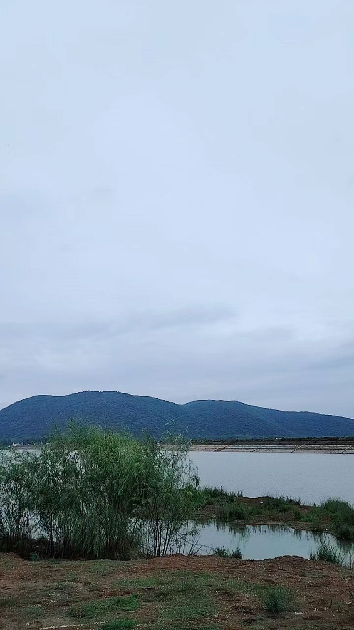 升金湖自然风光无限.