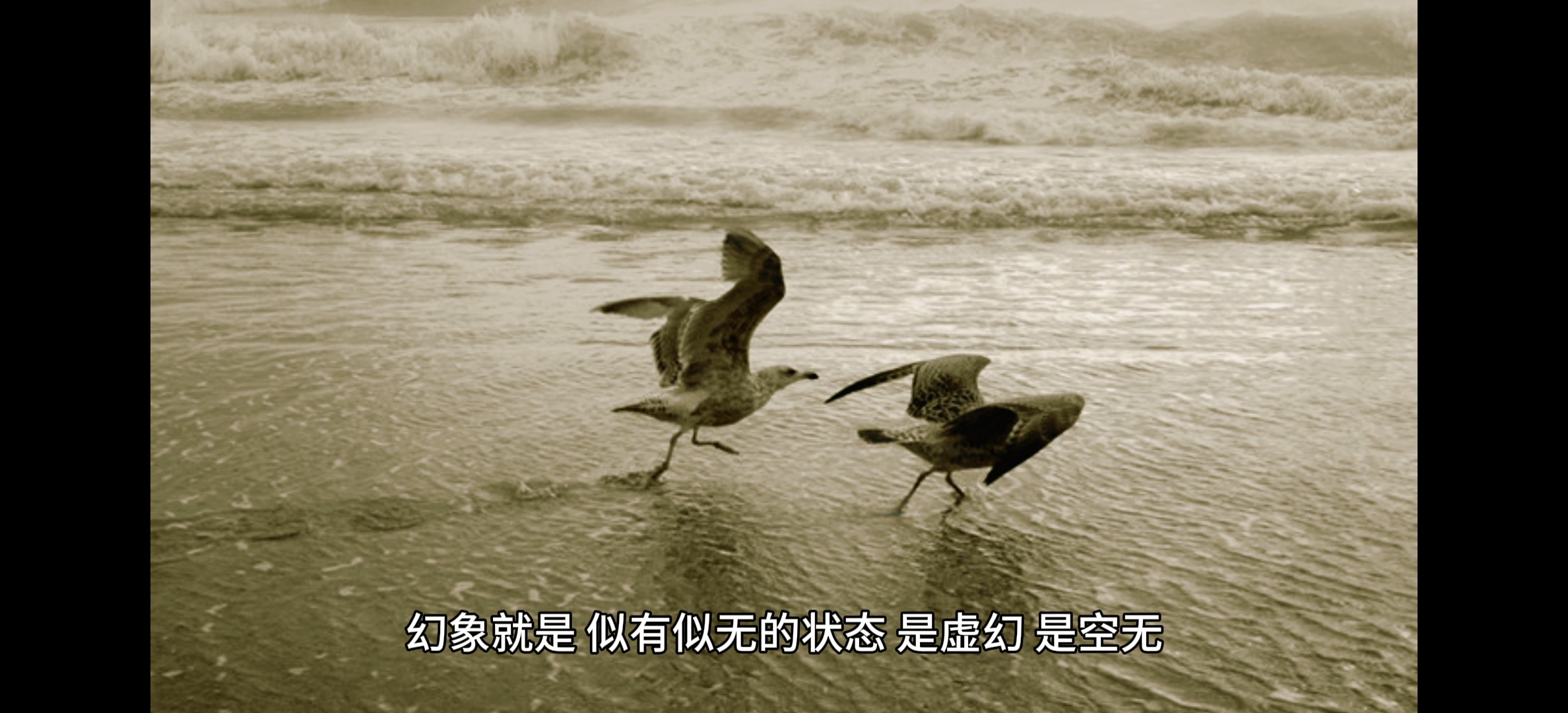 真实的幻象