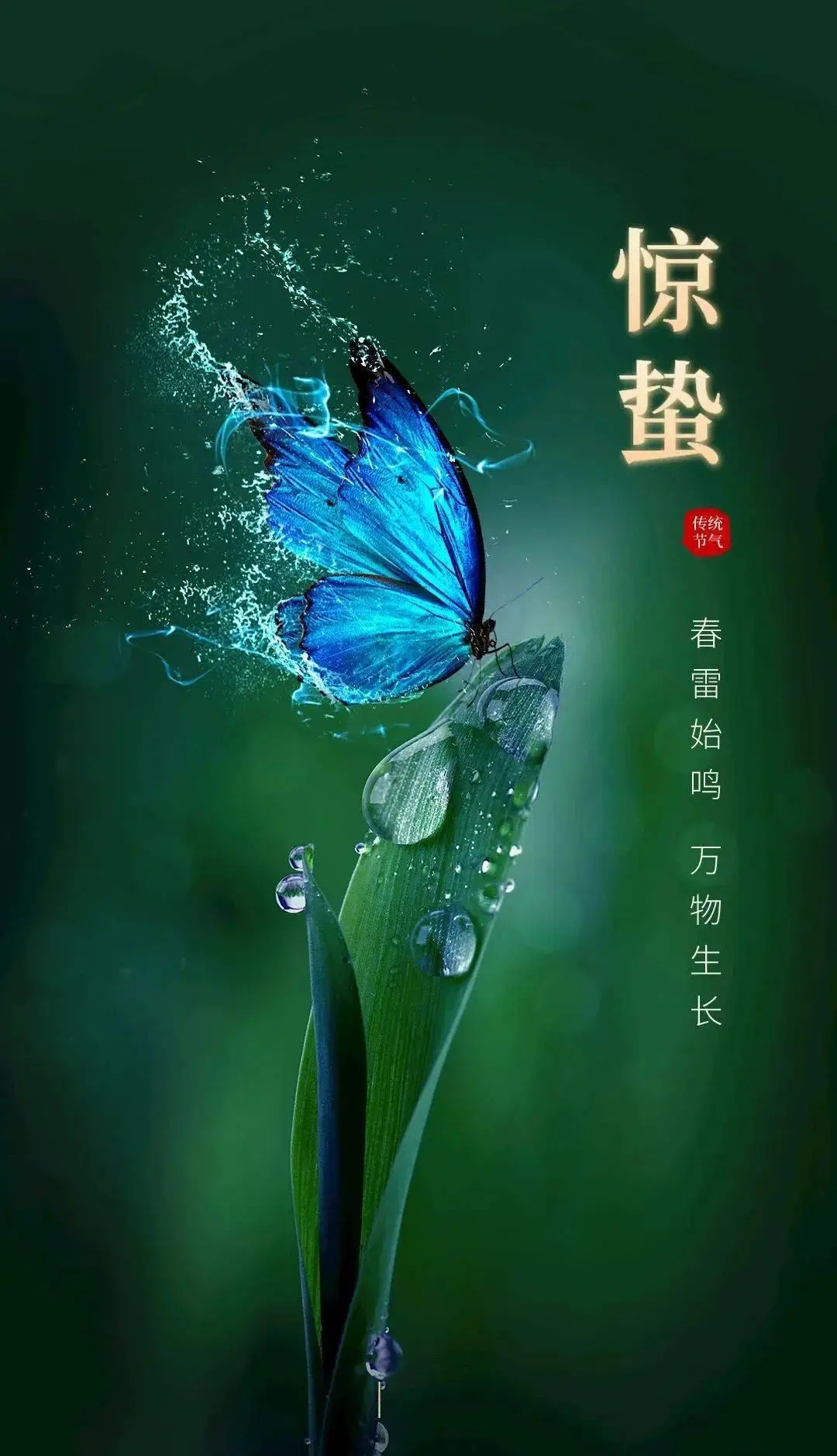 惊蛰,春雷动,万物长