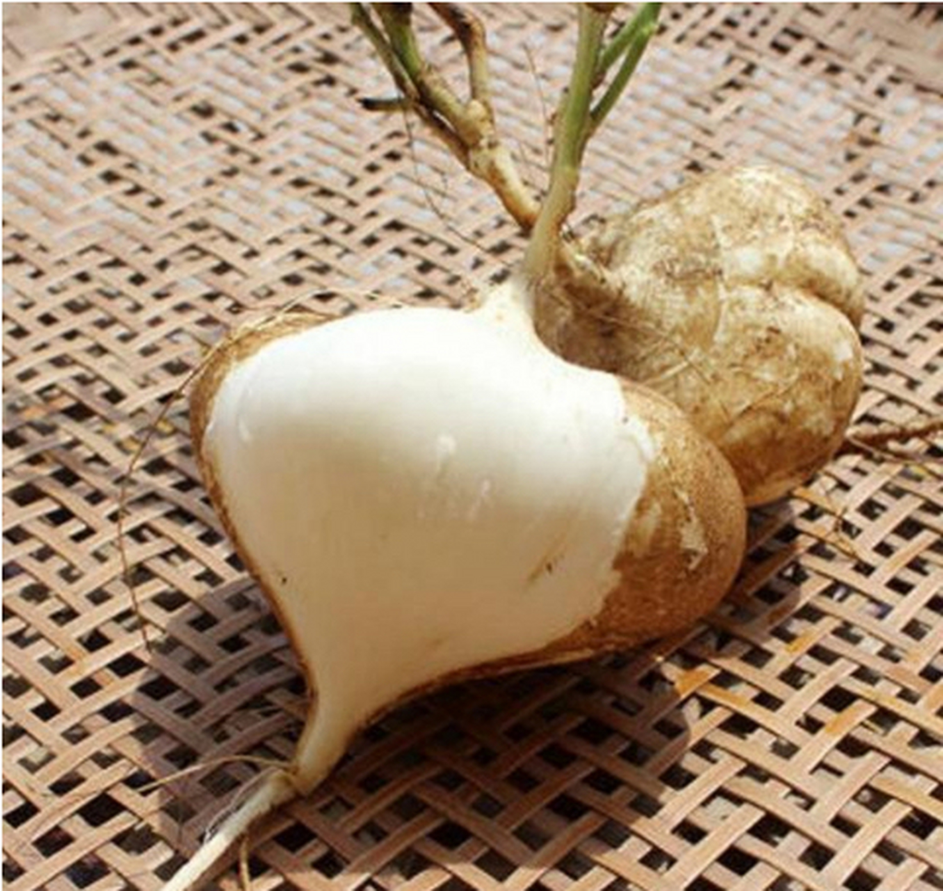 四川特产"地瓜",不是"红薯"哦,可以直接生吃,脆甜脆甜的,你吃过吗?