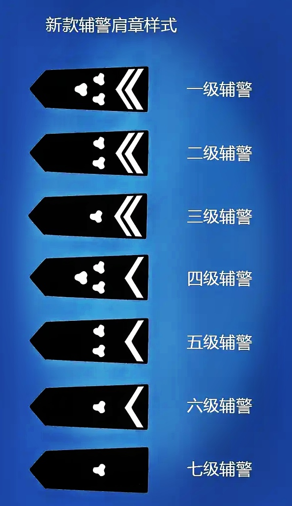 辅警肩章样式
