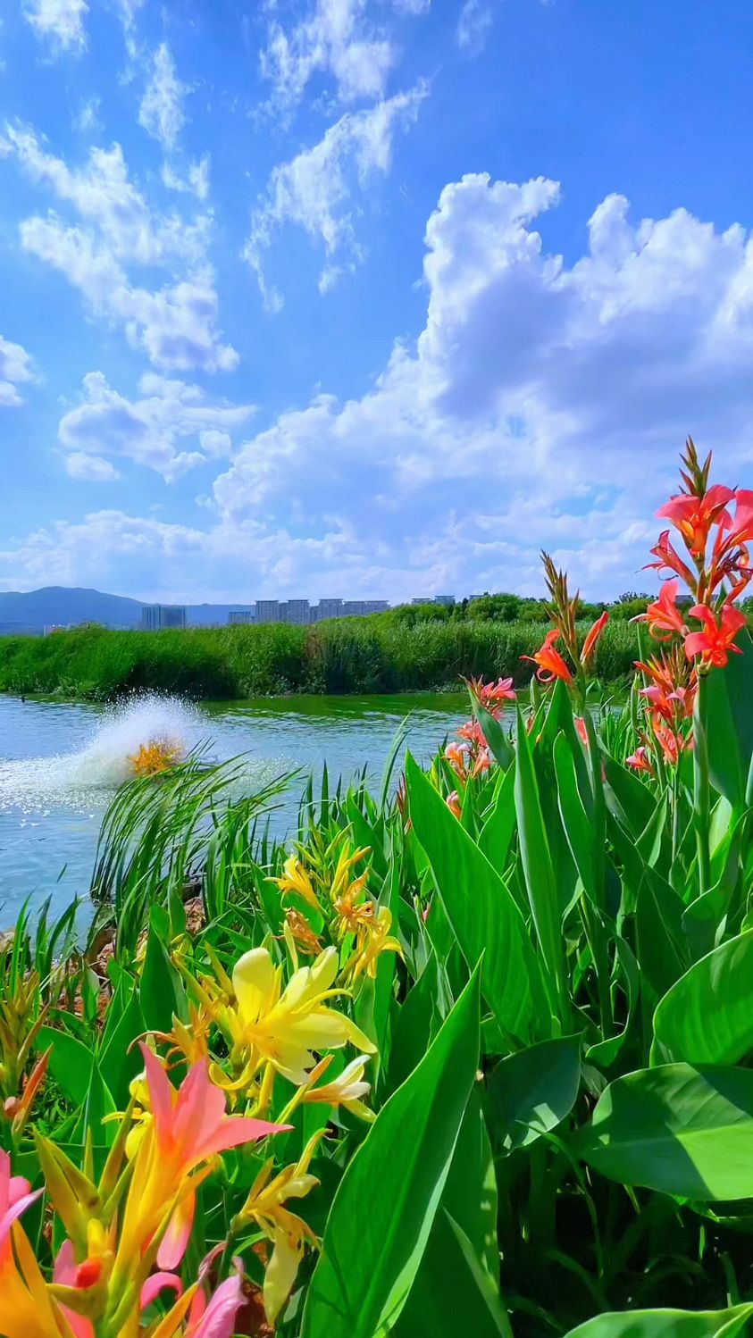 寻一片静谧之地散步,风轻云淡, 心亦悠然