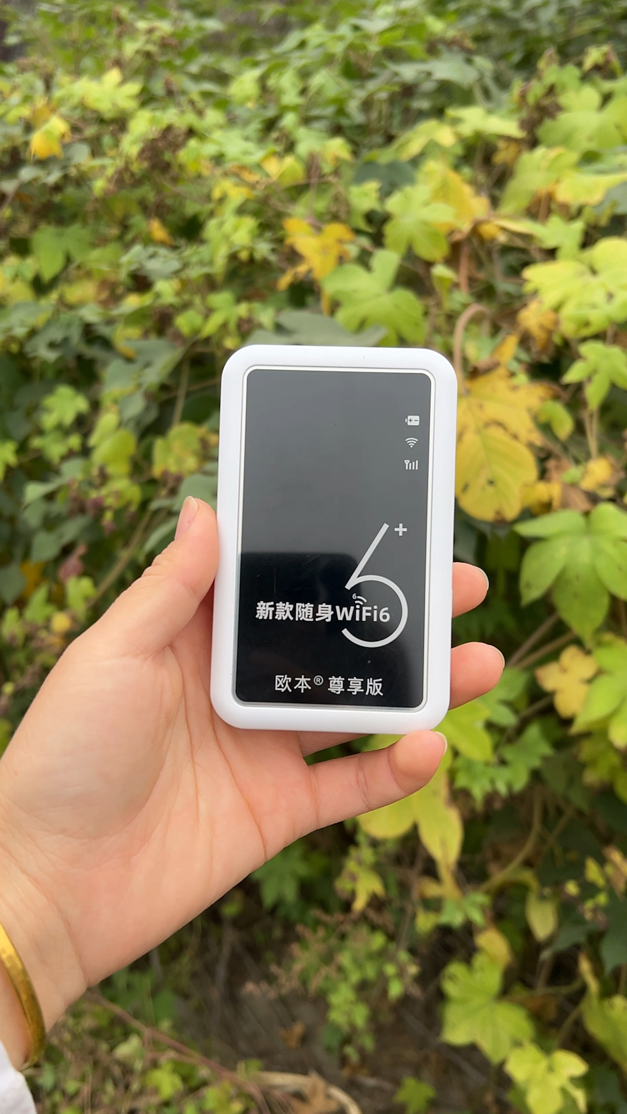 wifi助手=WiFi助手下载