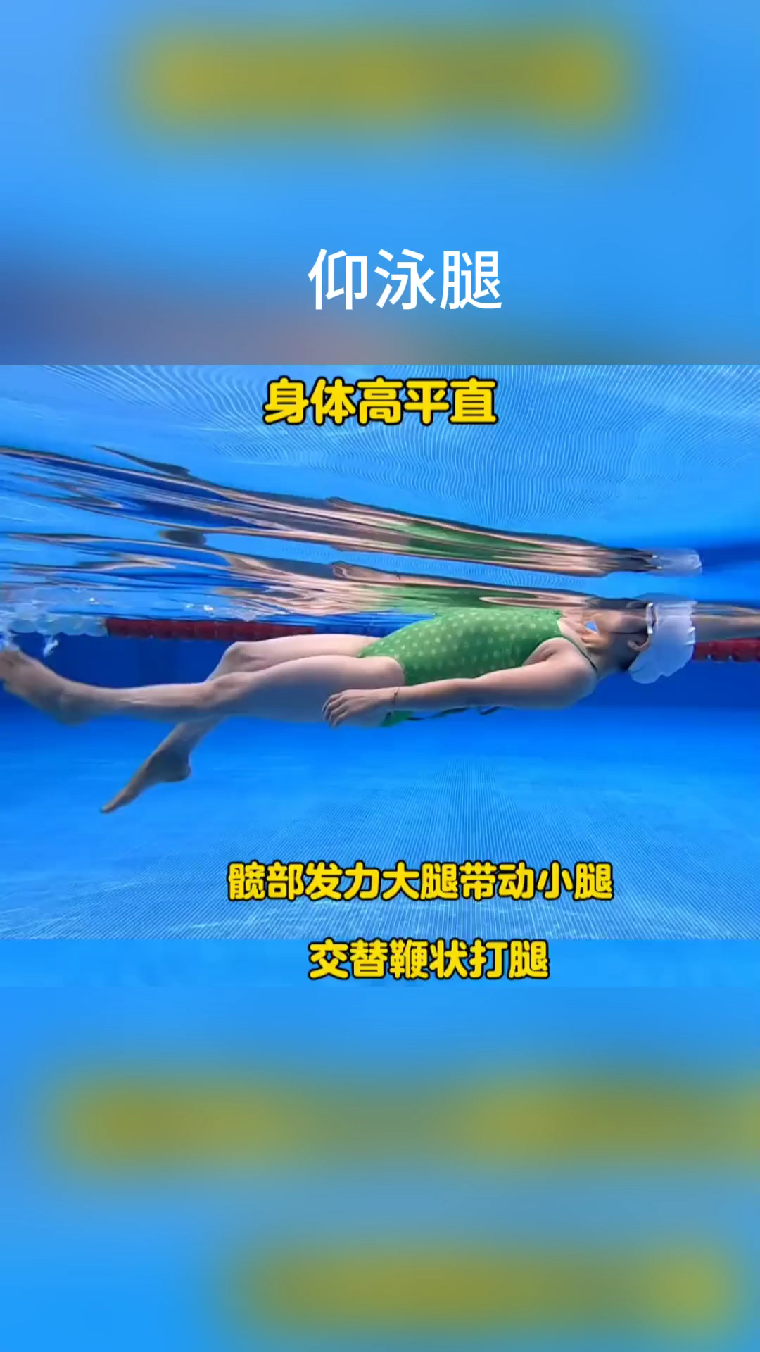 仰泳腿部技术的教学